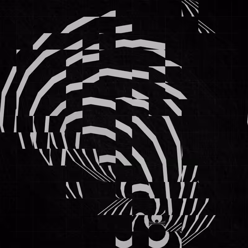 Traces #74