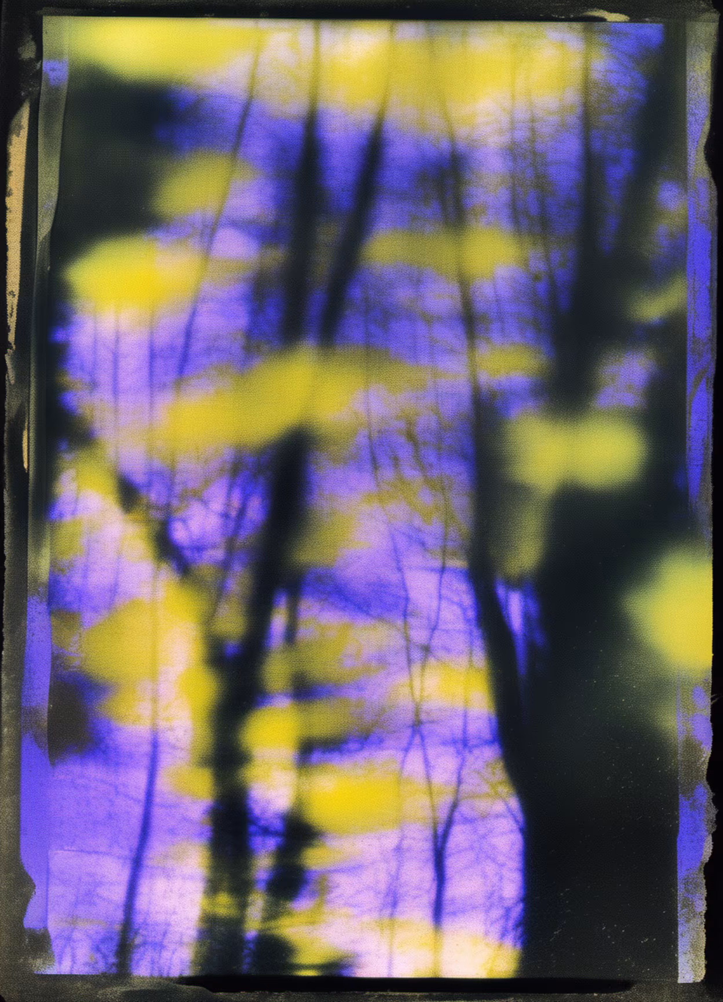 Summer Distortions #75