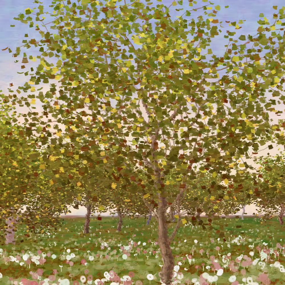 Grove #81