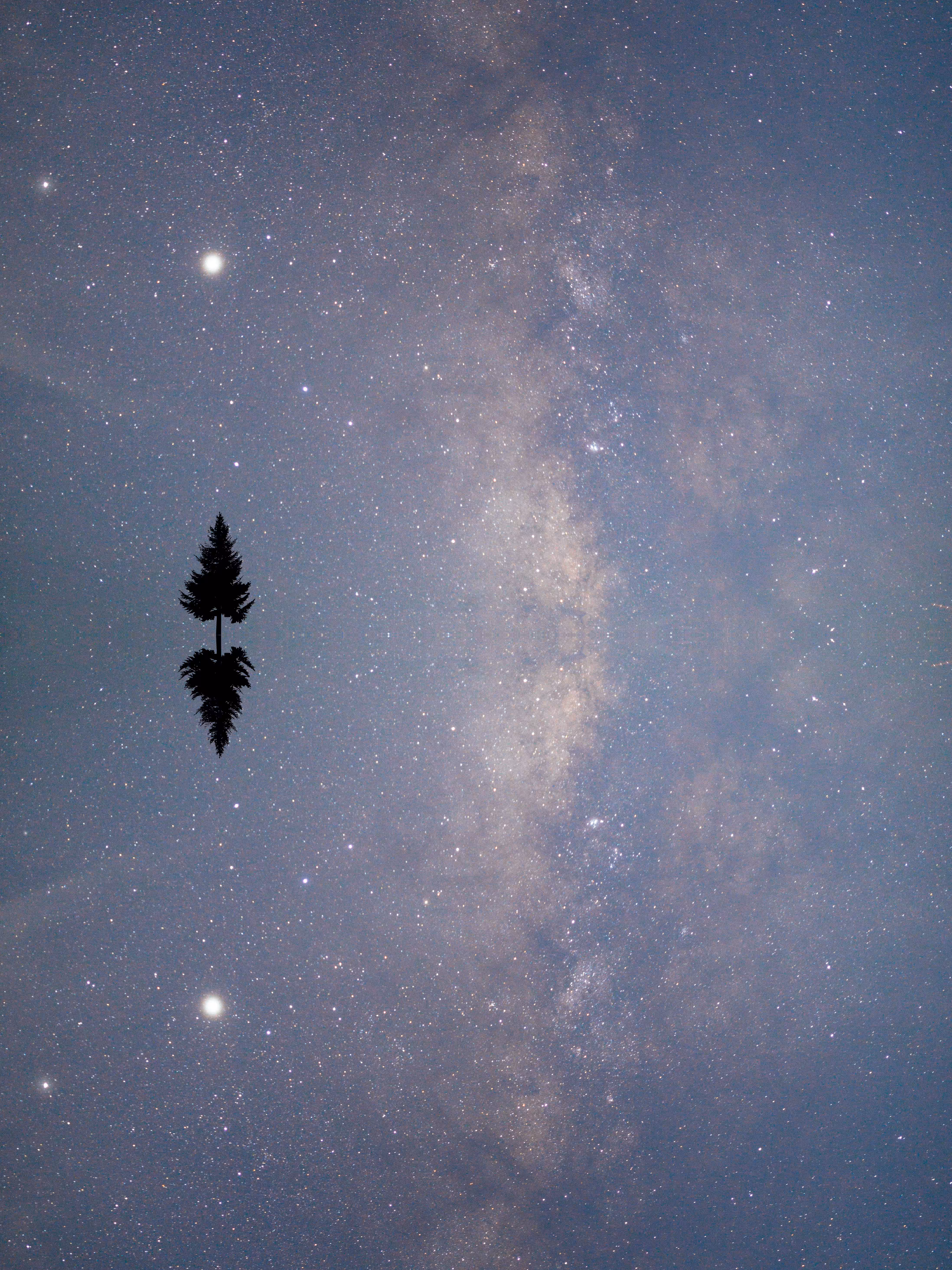 Reflection #80