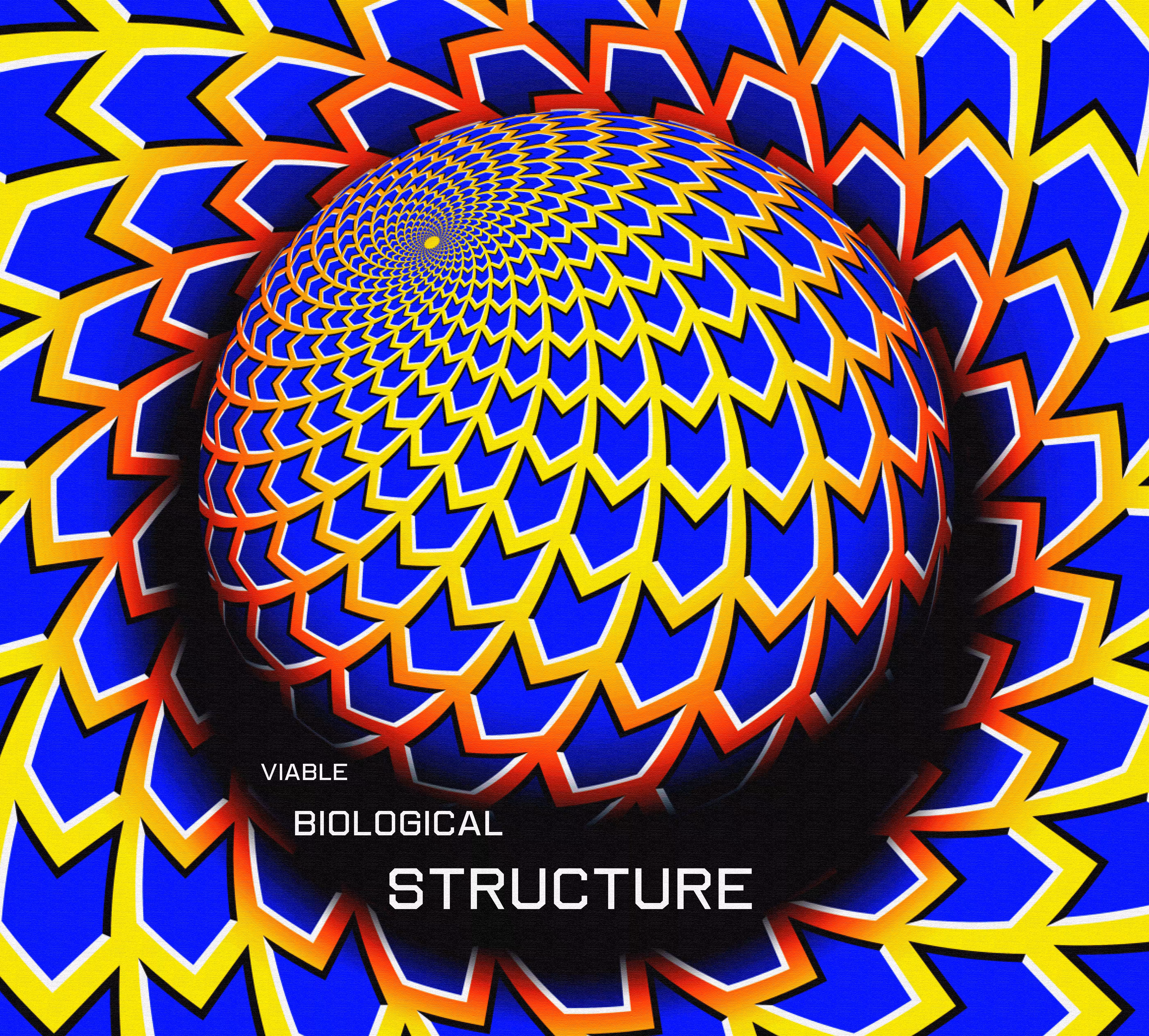 Viable Biological Structure, 2021