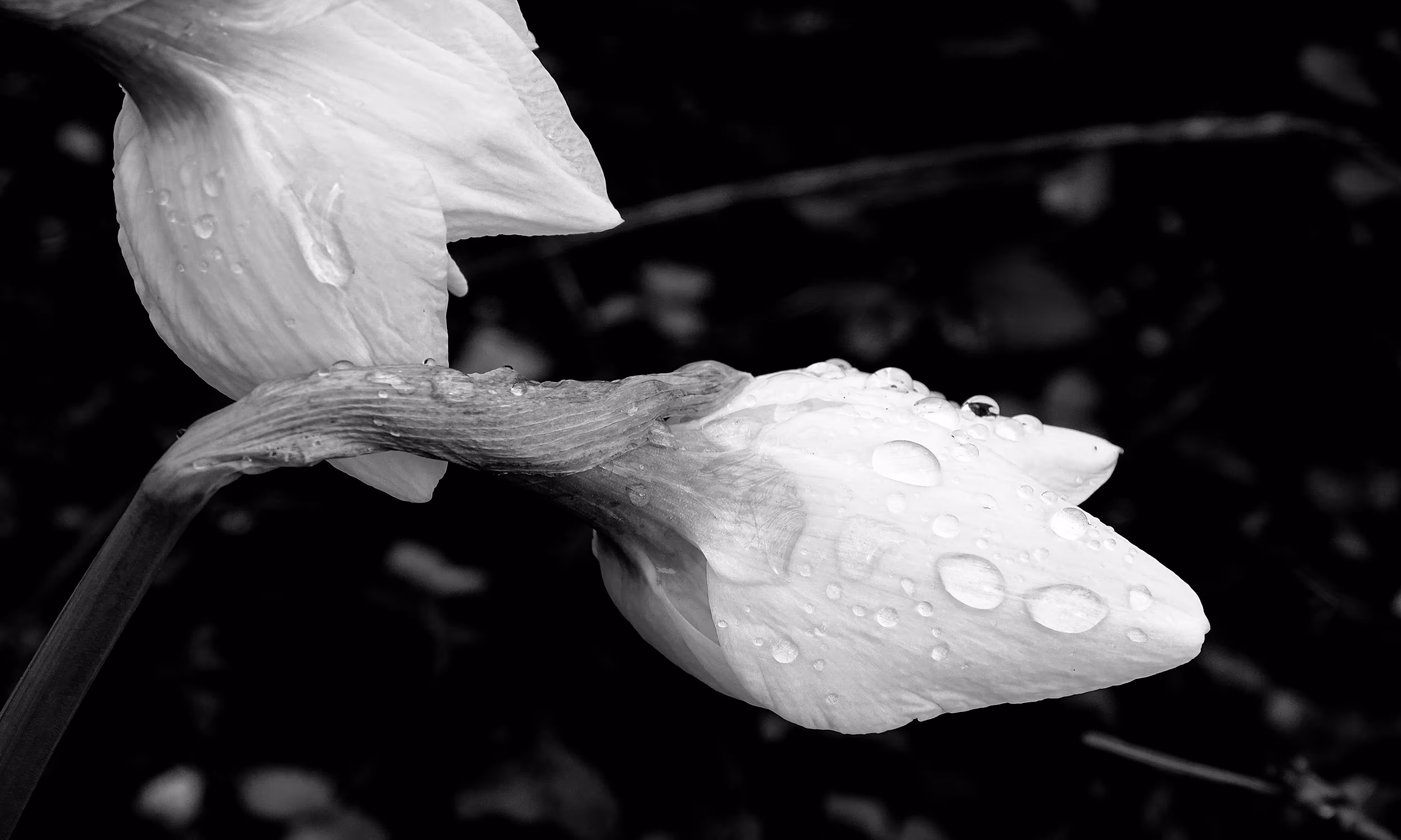 Touch
