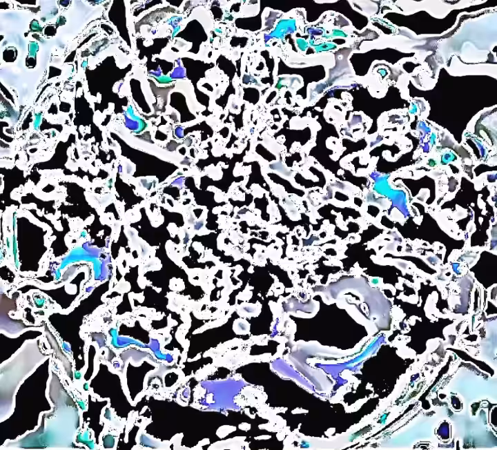 Trip Bunny | *Bassx2 Jam