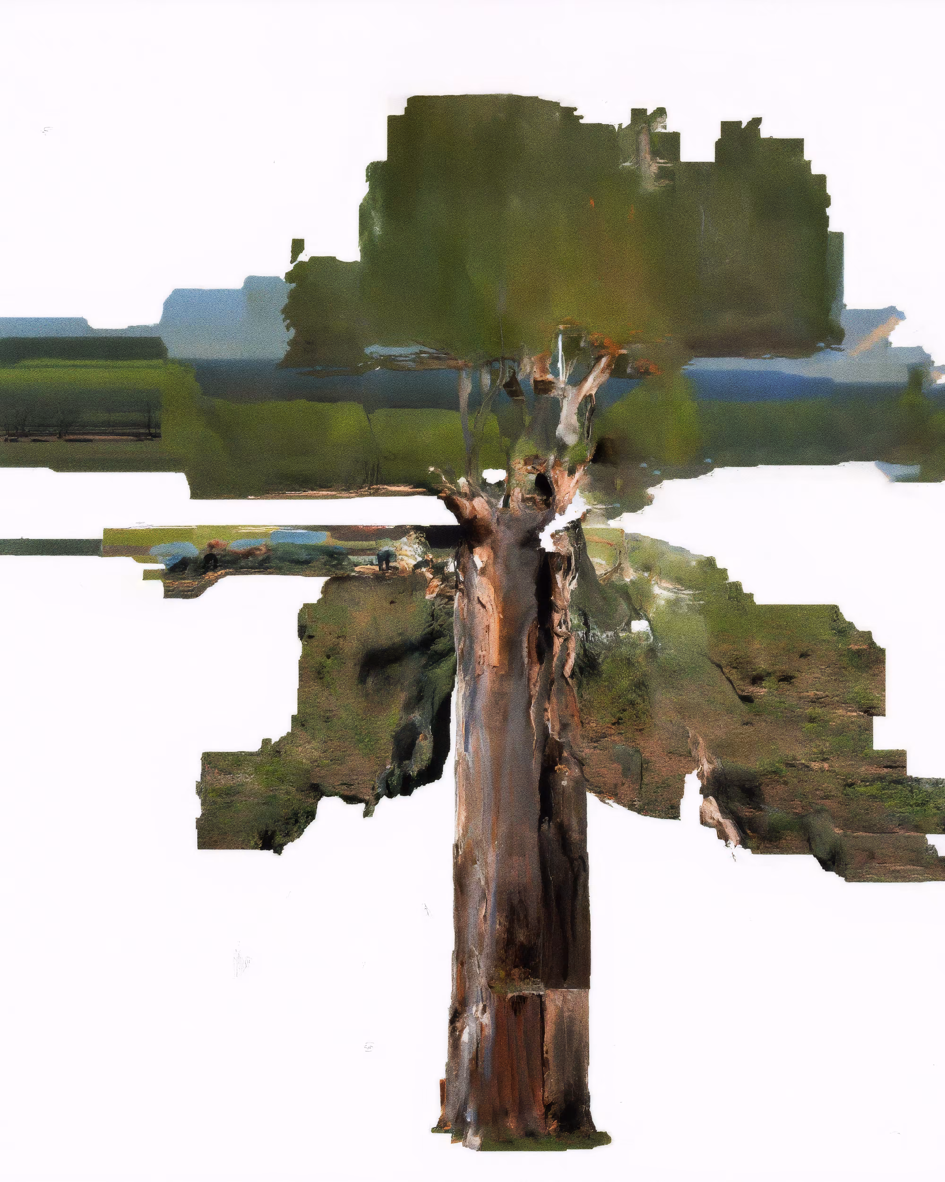 ð
