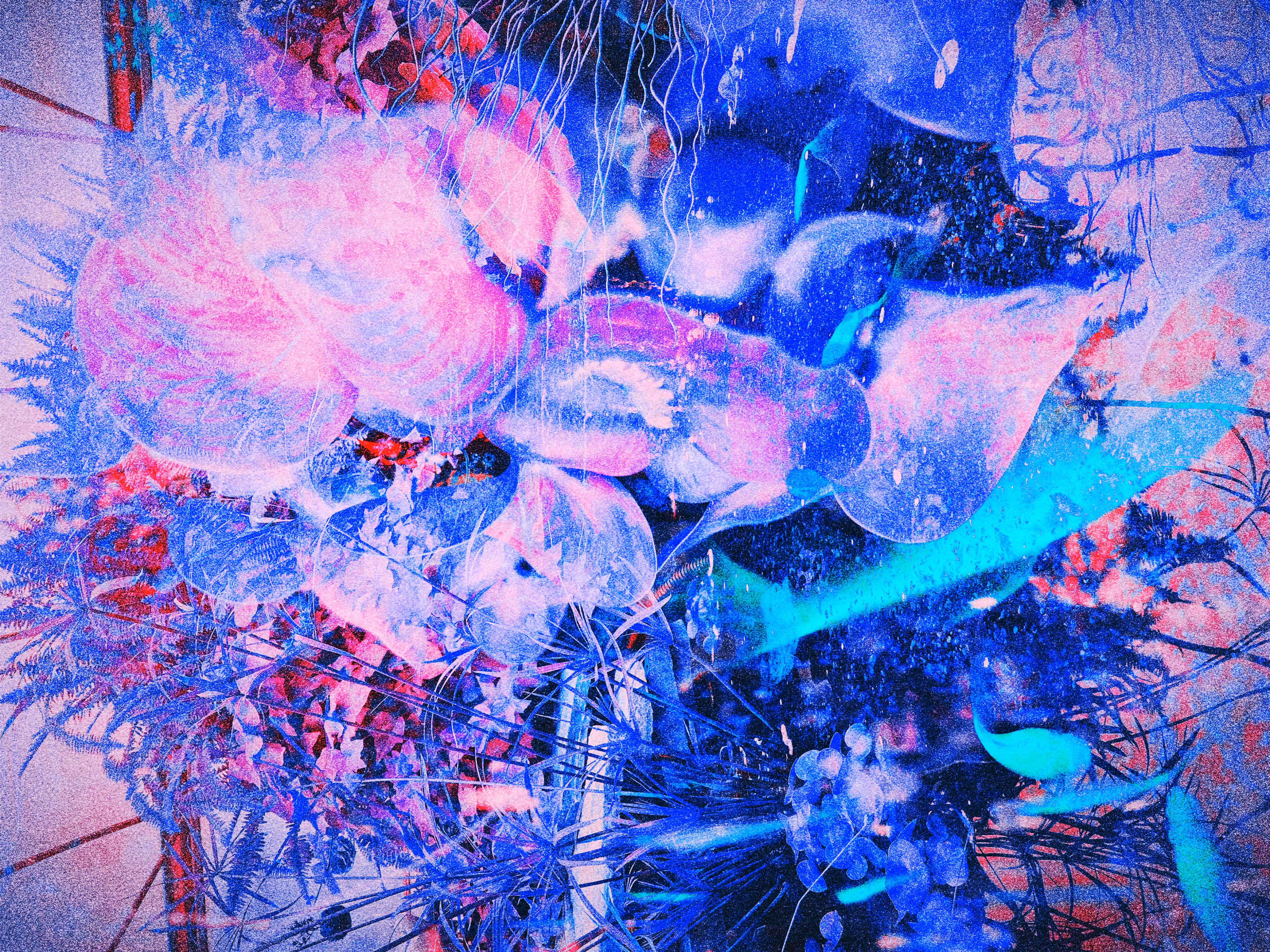 𝖆𝖓𝖈𝖎𝖊𝖓𝖙 𝖔𝖗𝖎𝖌𝖎𝖓𝖘