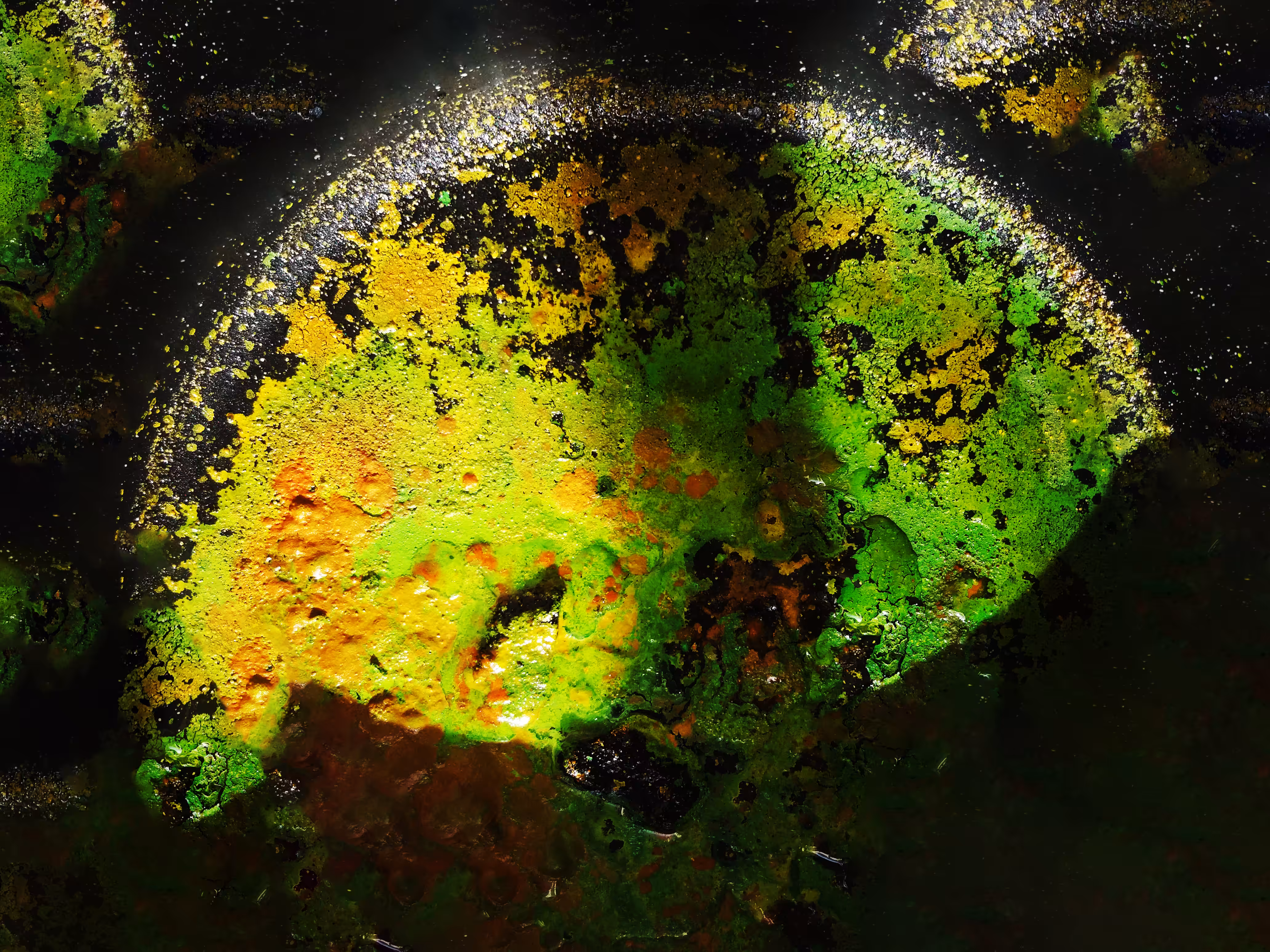 My Photos: Ethereal Biome