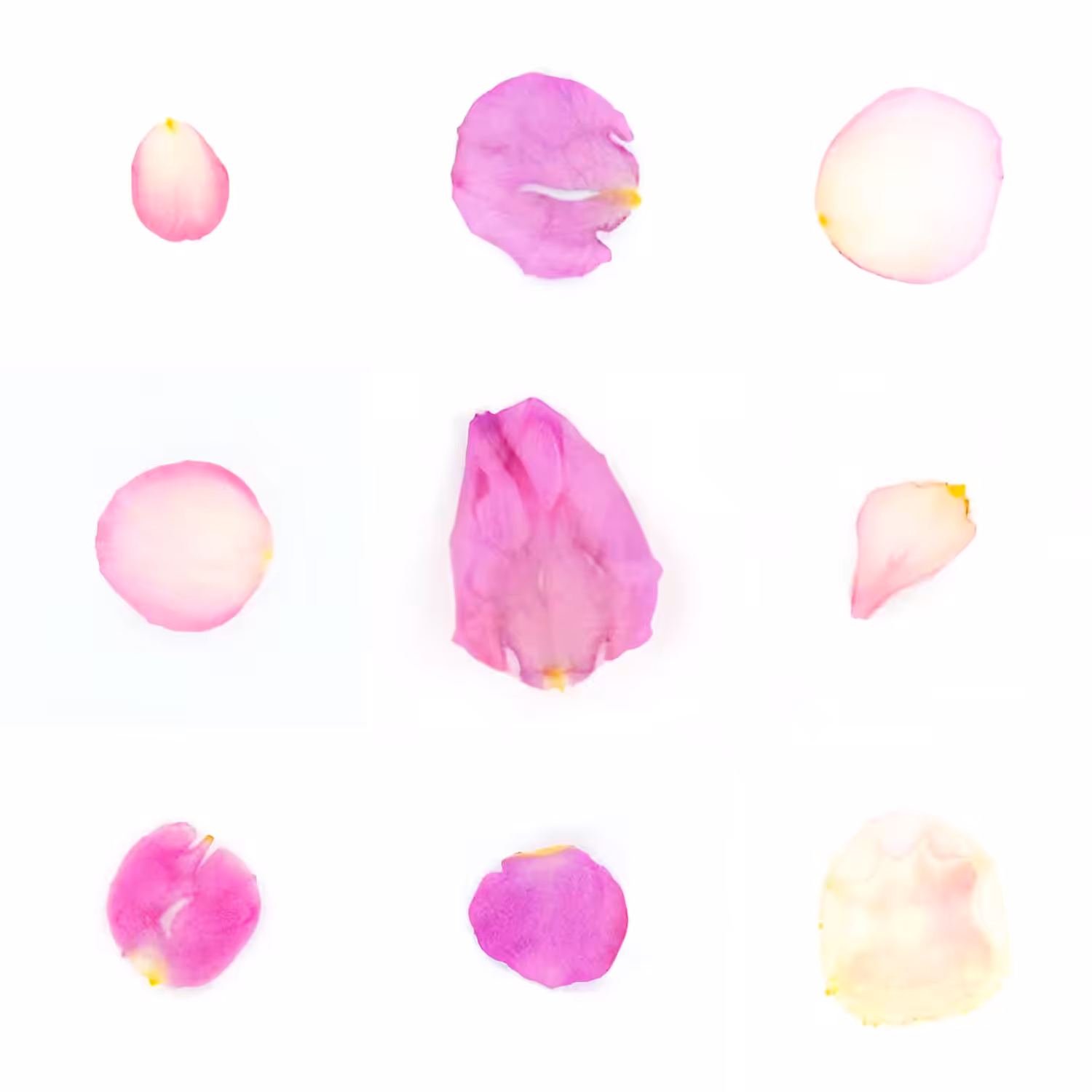 Infinite Petals 3x3#20107