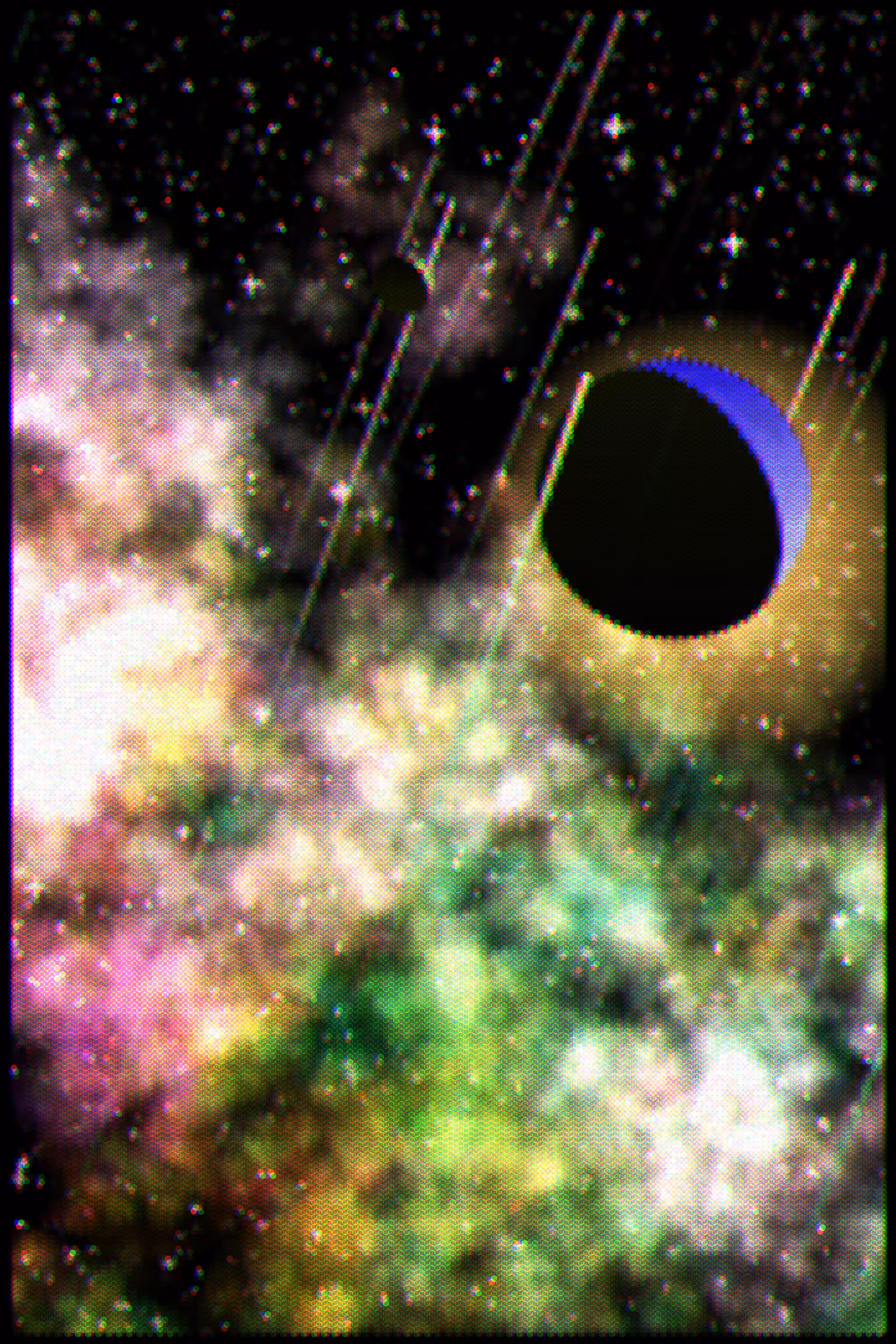 Gradient Ascent #39
