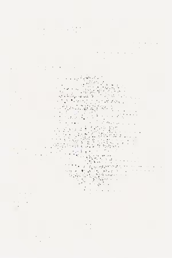 Stippled Sketch #28
