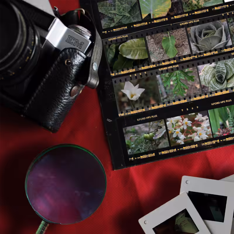 Contact Sheet #3