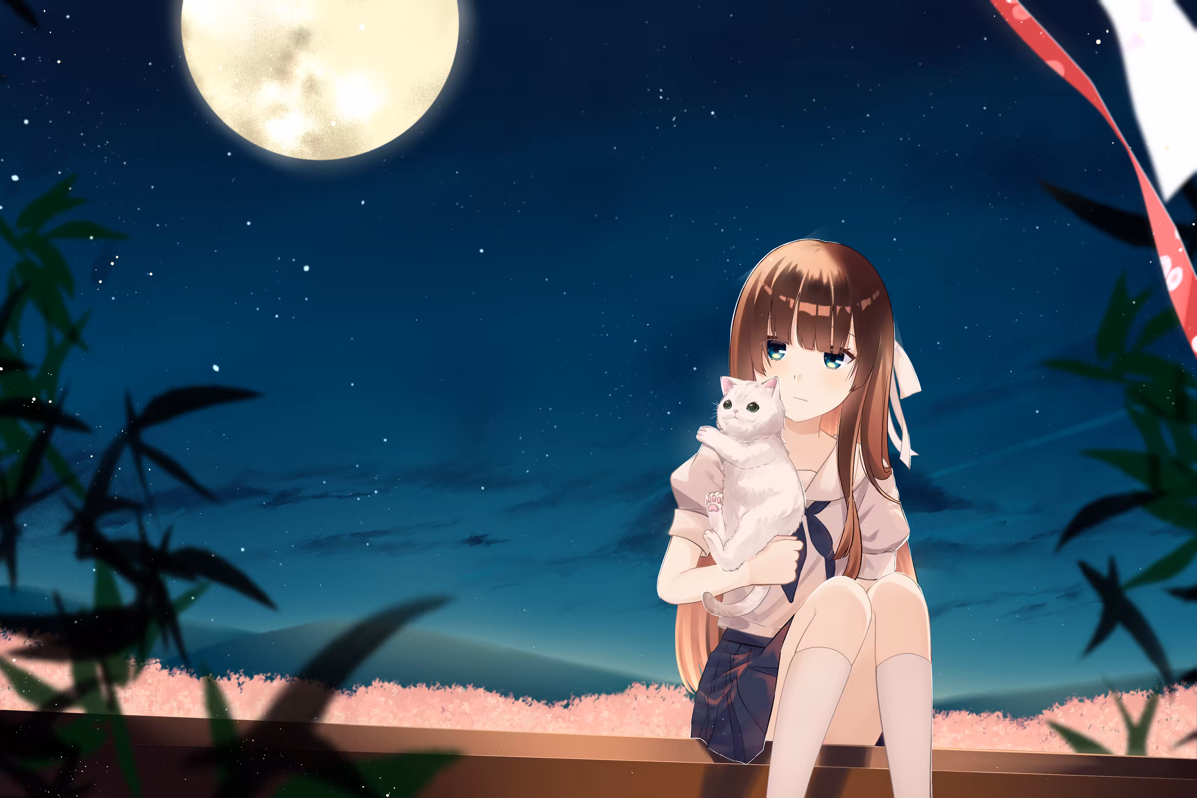 Stargazing