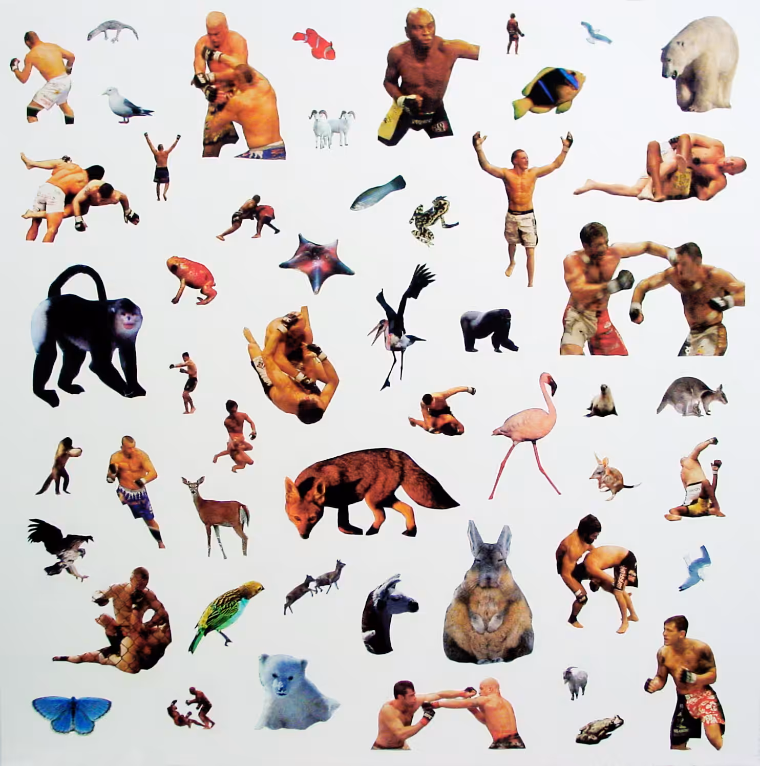 Animals & Ultimate Fighters