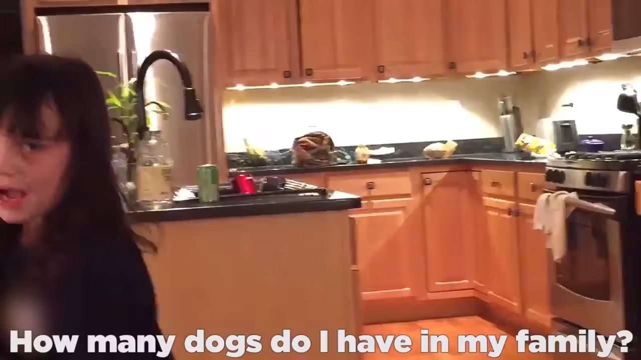 Song A Day: Adorable Six Year Old Makes Up a Song About Dogs
