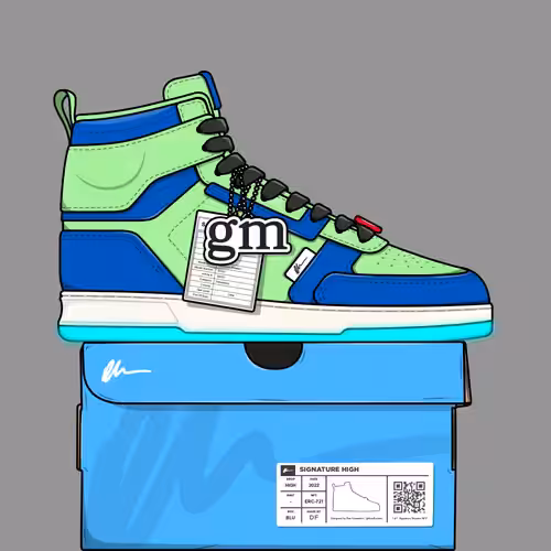 Signature Sneakers Highs #639