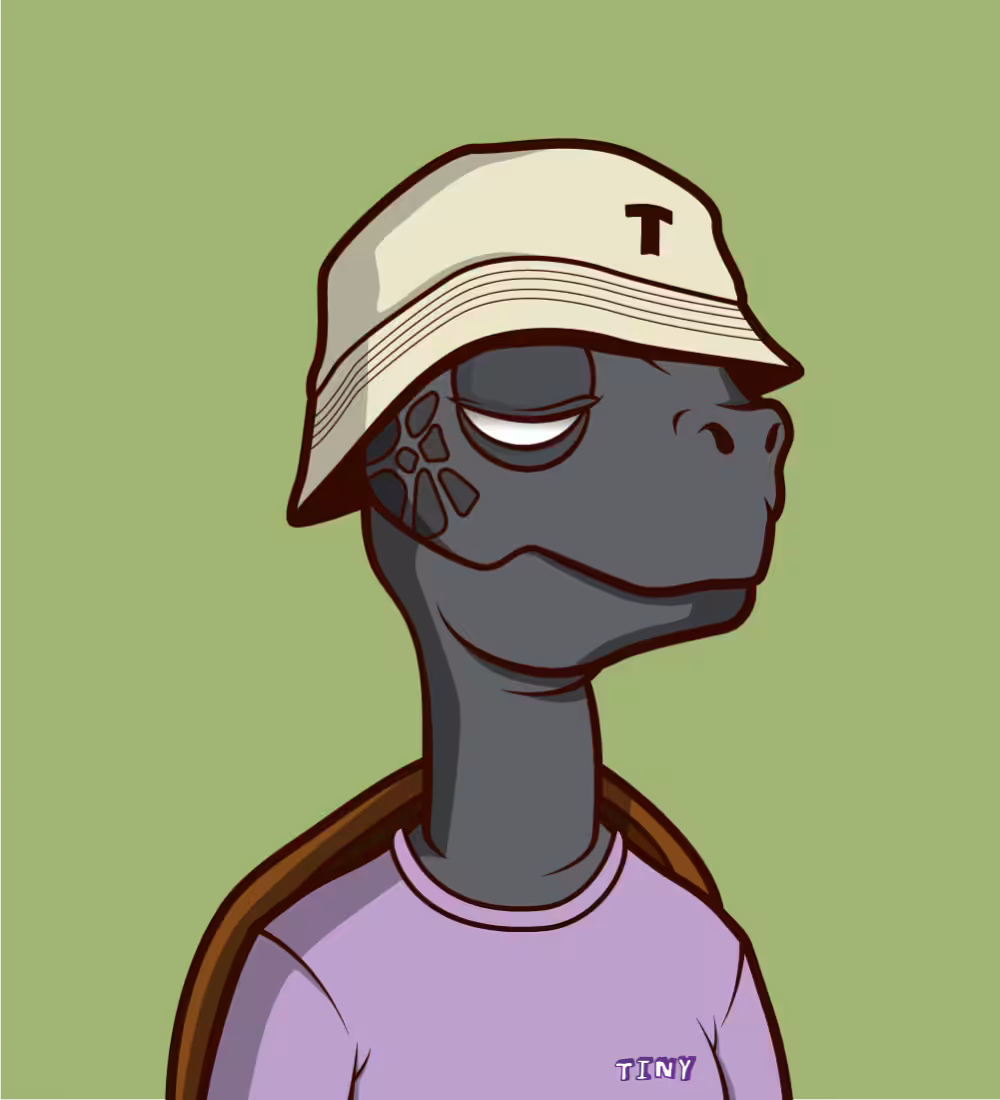 Tiny Turtle 155