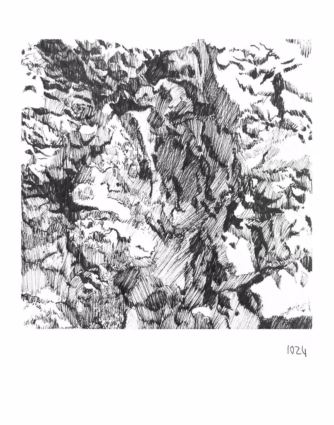 DN - Random Lines