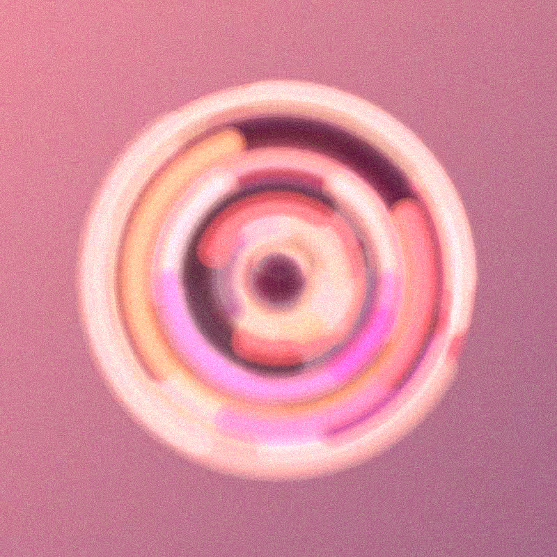 Wisp #379