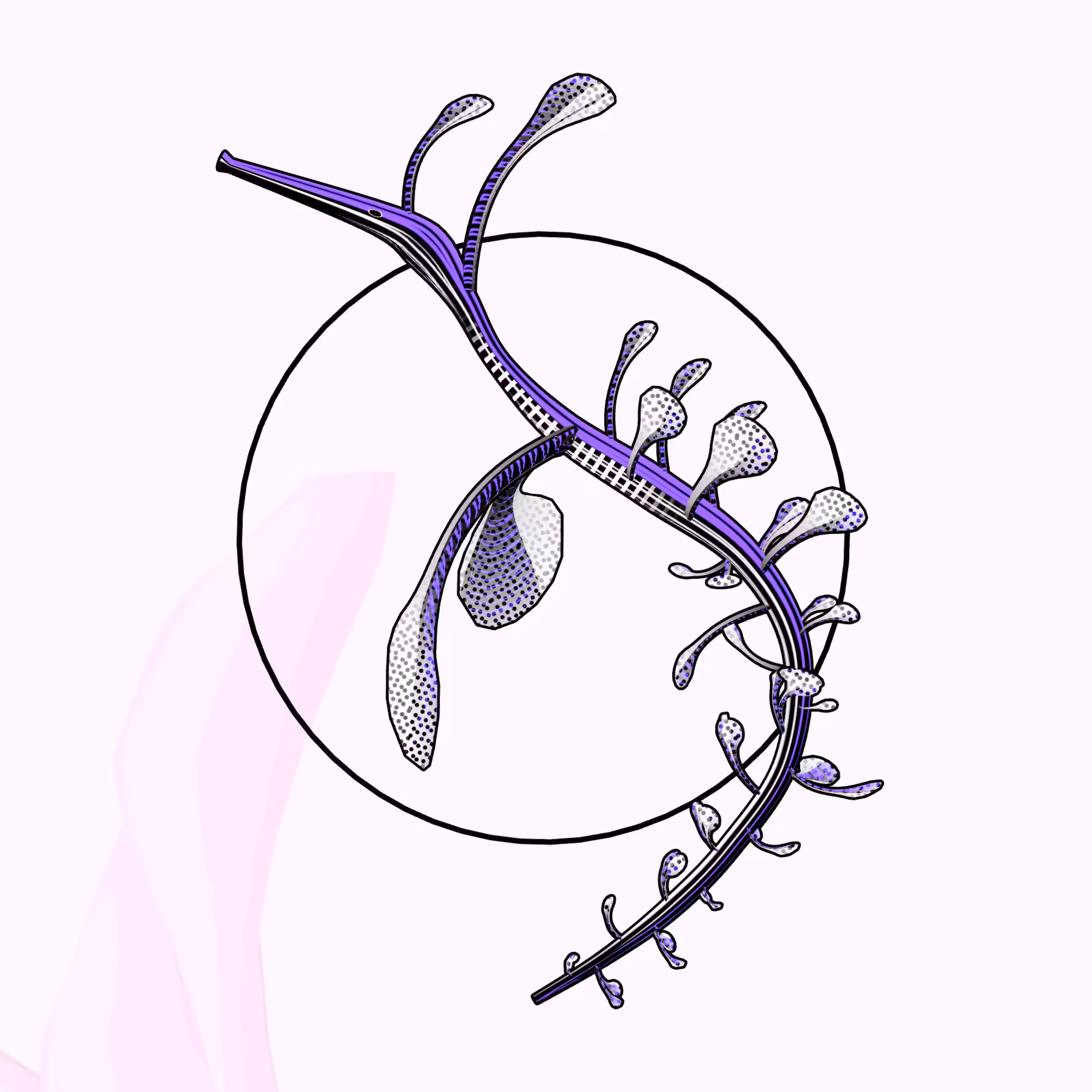 Seadragons #115