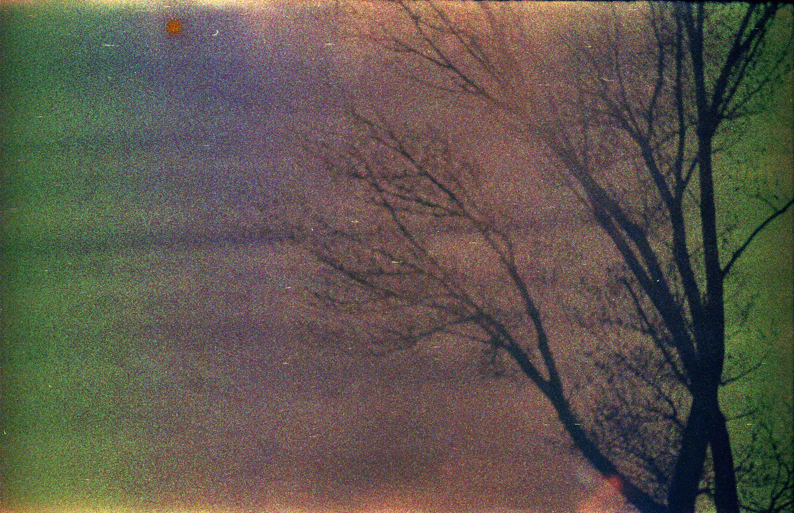 Pale Tortured Blue