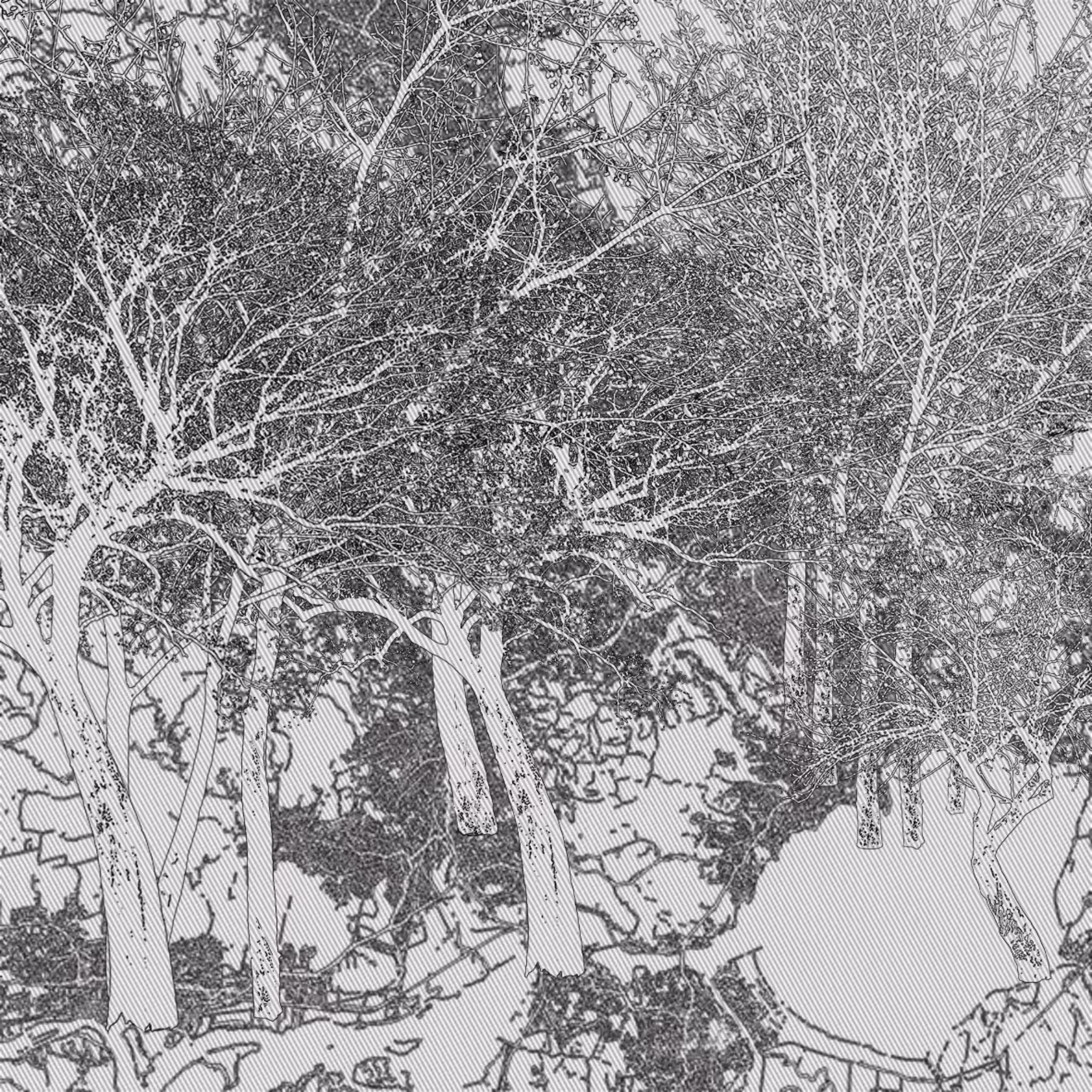 The Forest #20