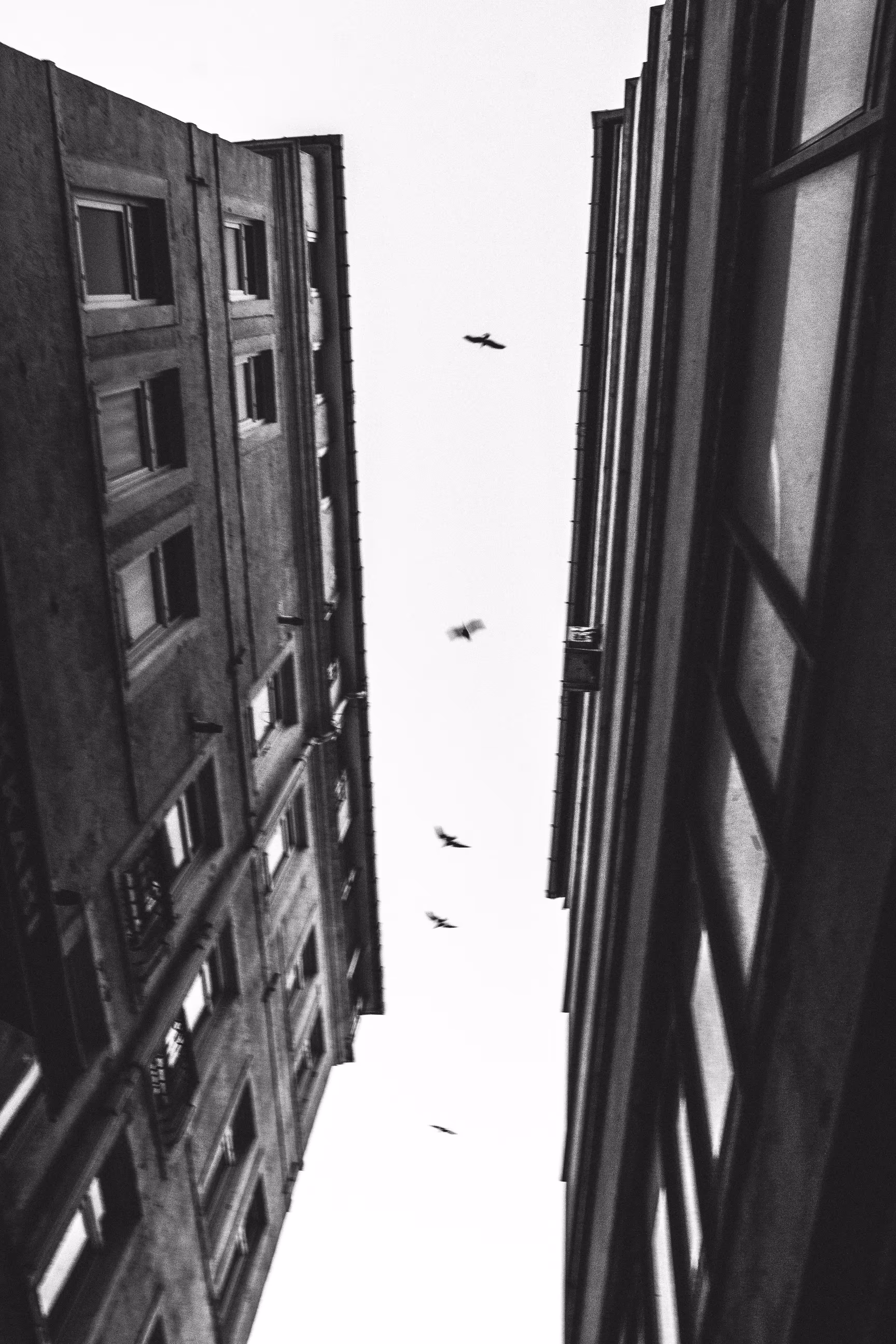 Freedom