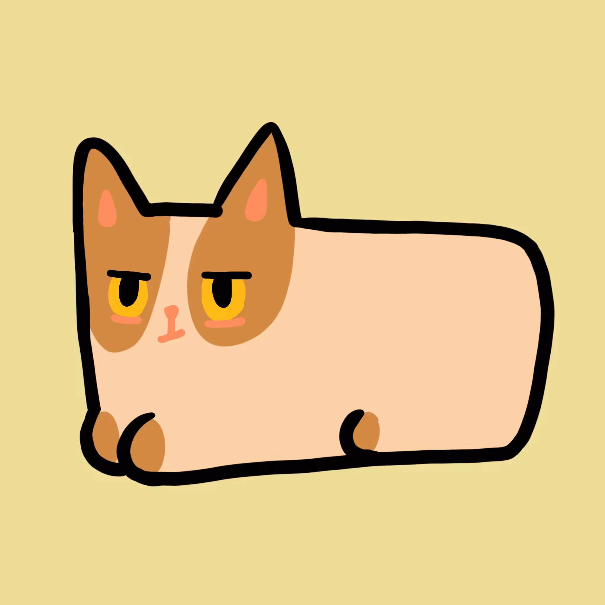 Sunny cat 24