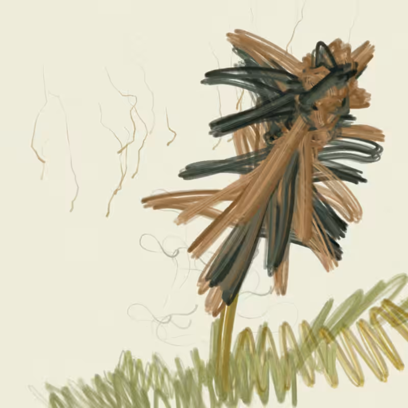 The Likeness of a Flower #93