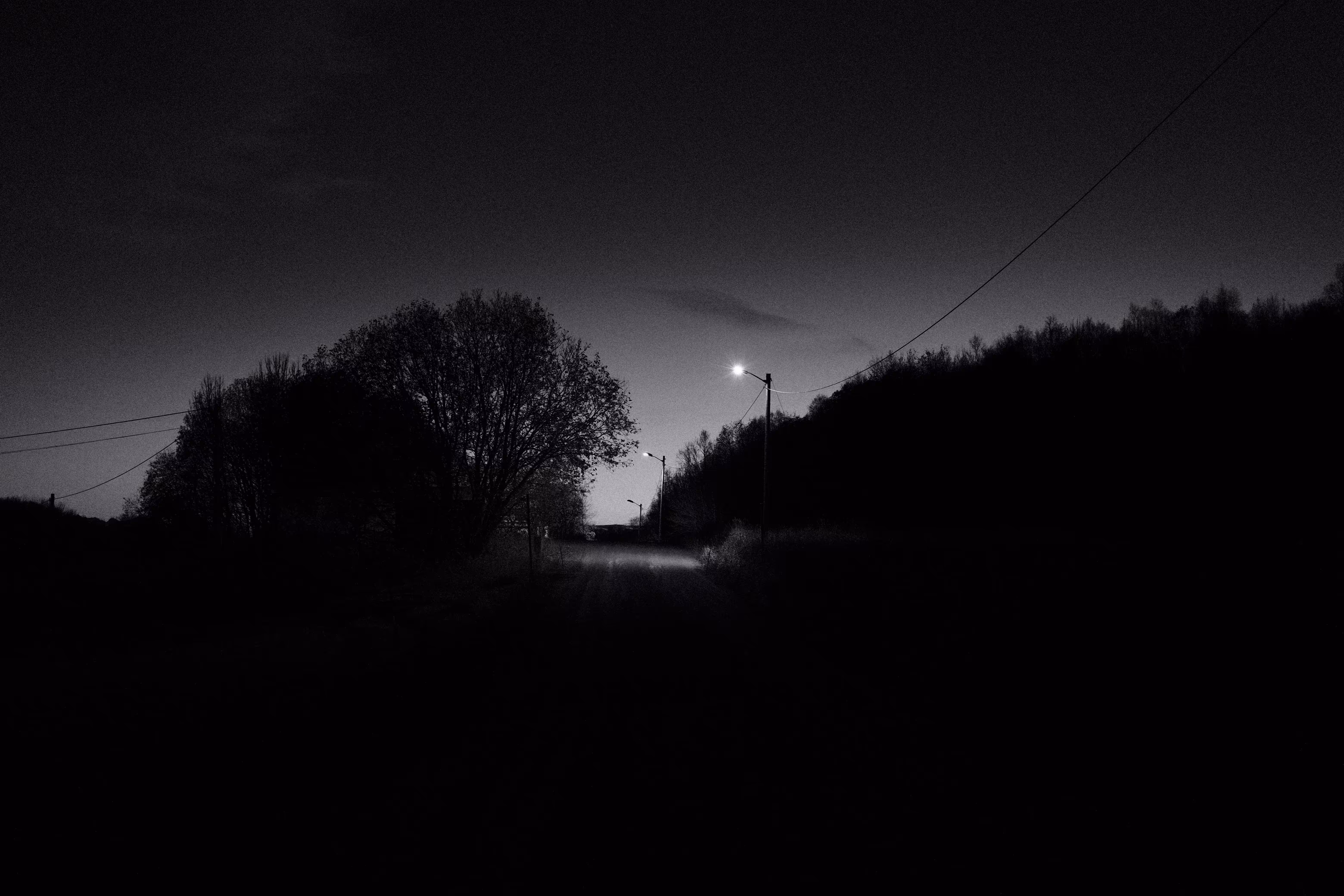 The Light Guiding You