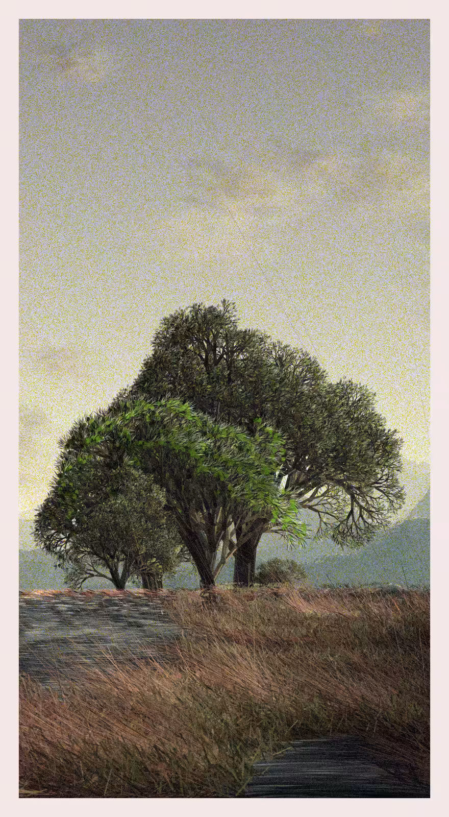 QTNN: Ledina #169