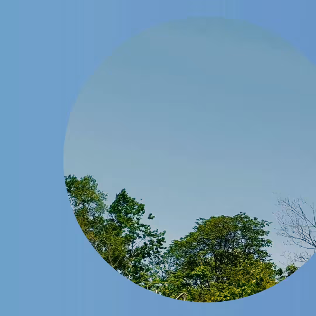 Divided #4
