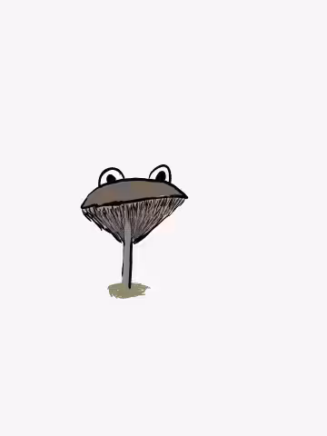 #14