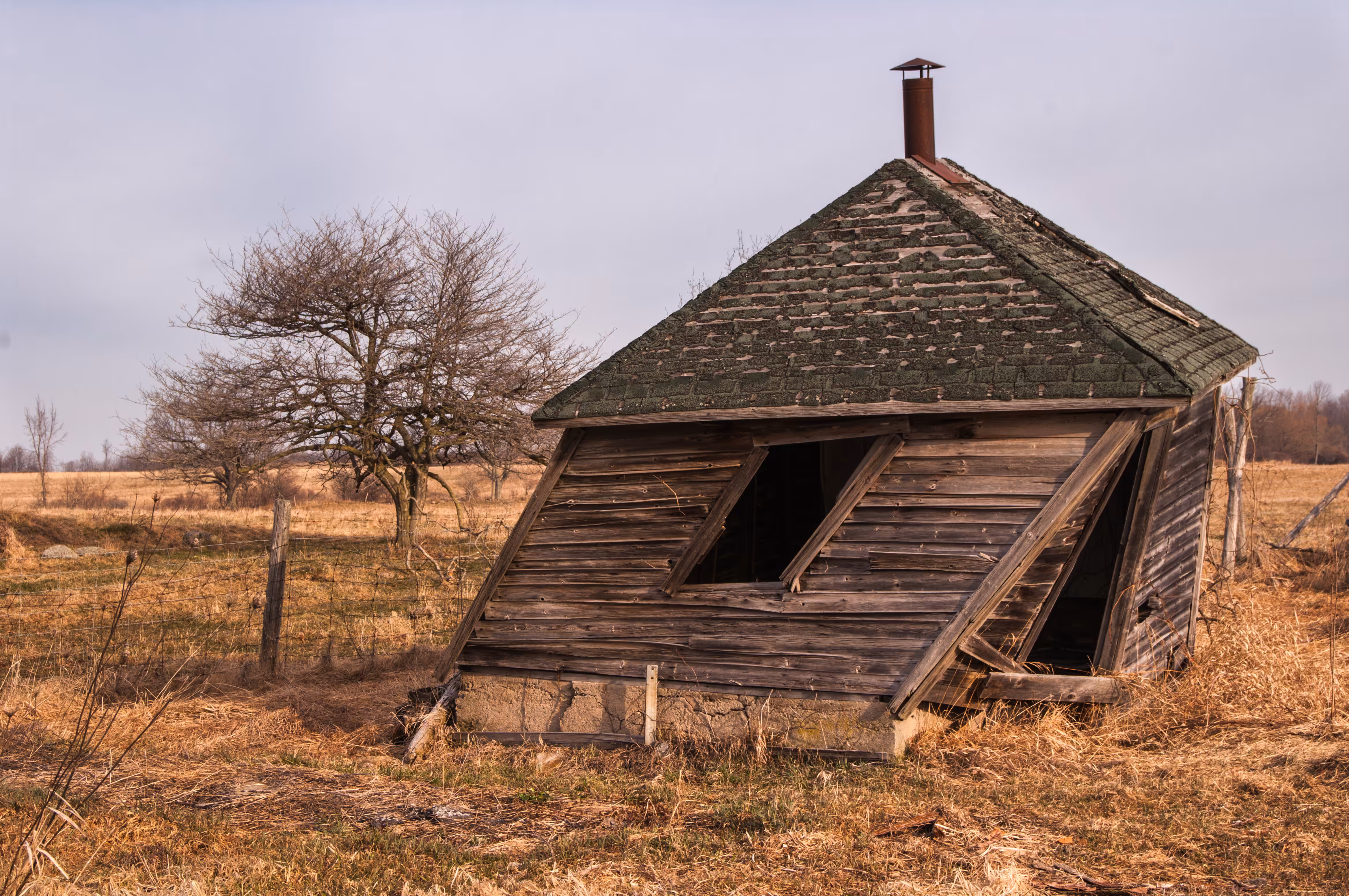 Fixer Upper