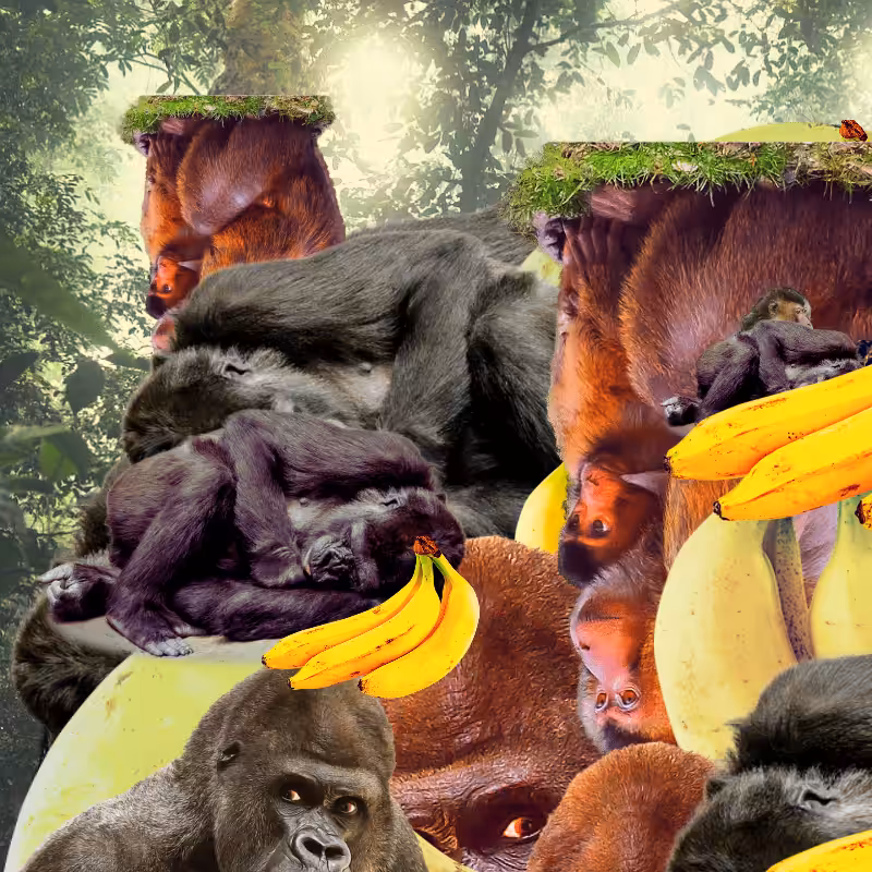 Banana #1 #50