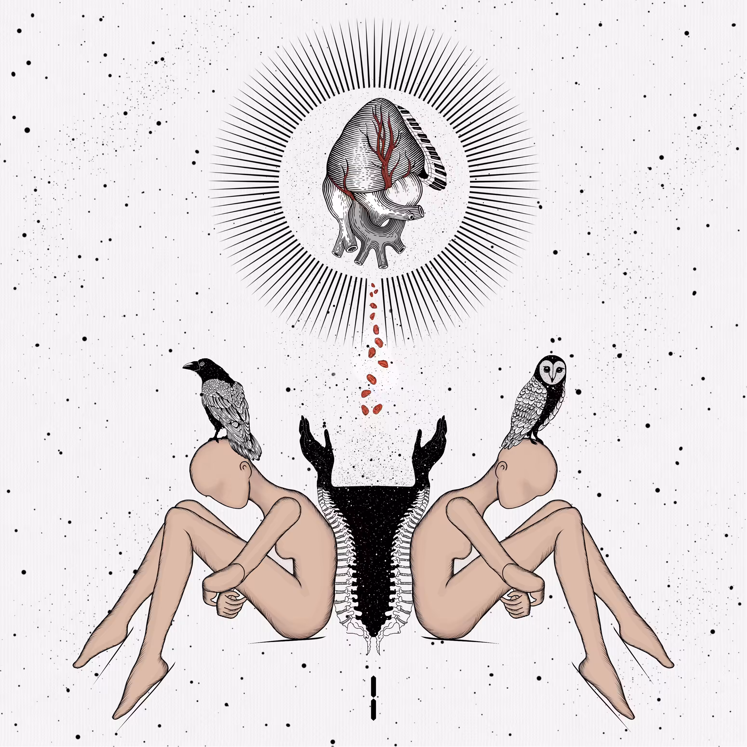 OCCULTIS