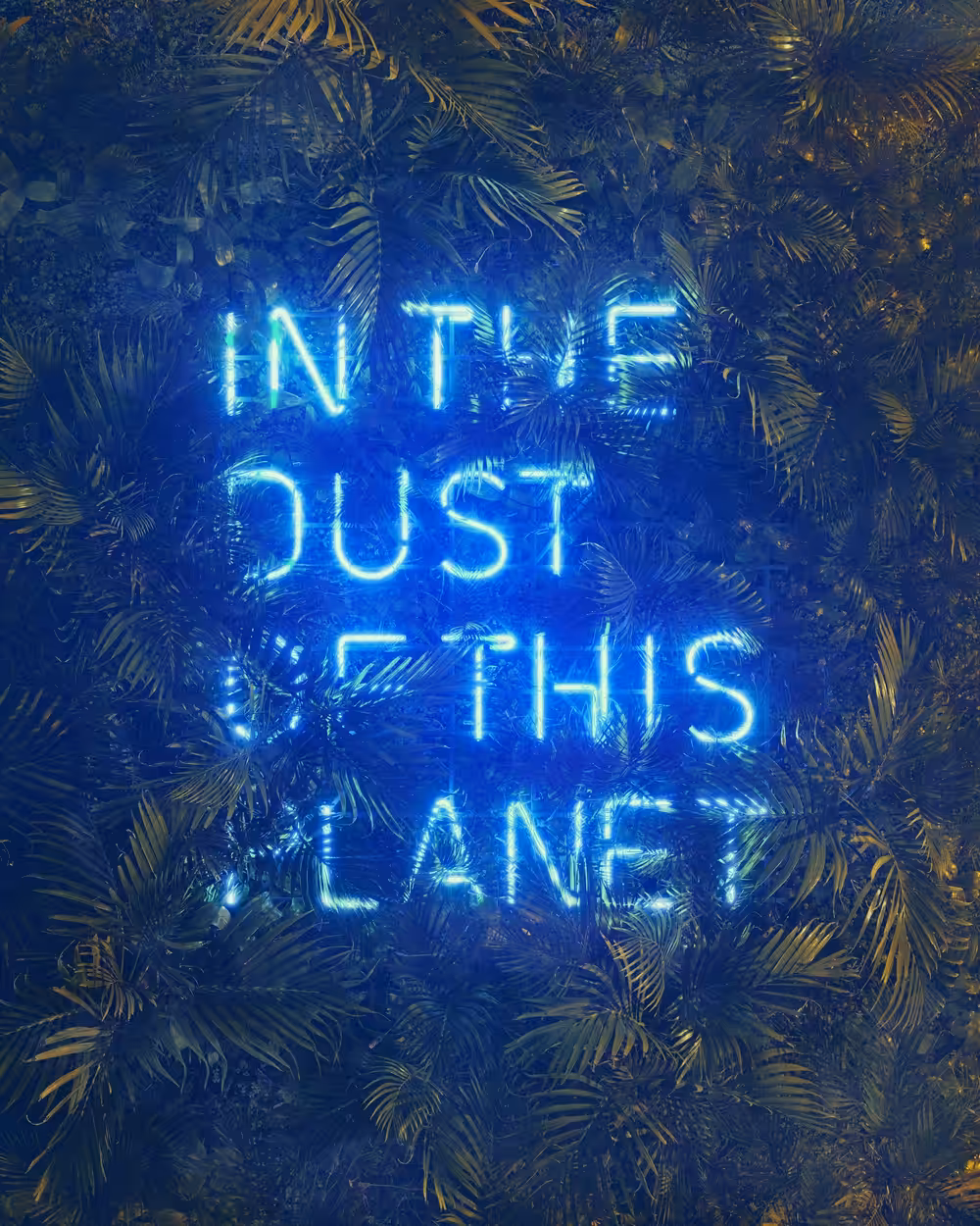 In the dust of this planet