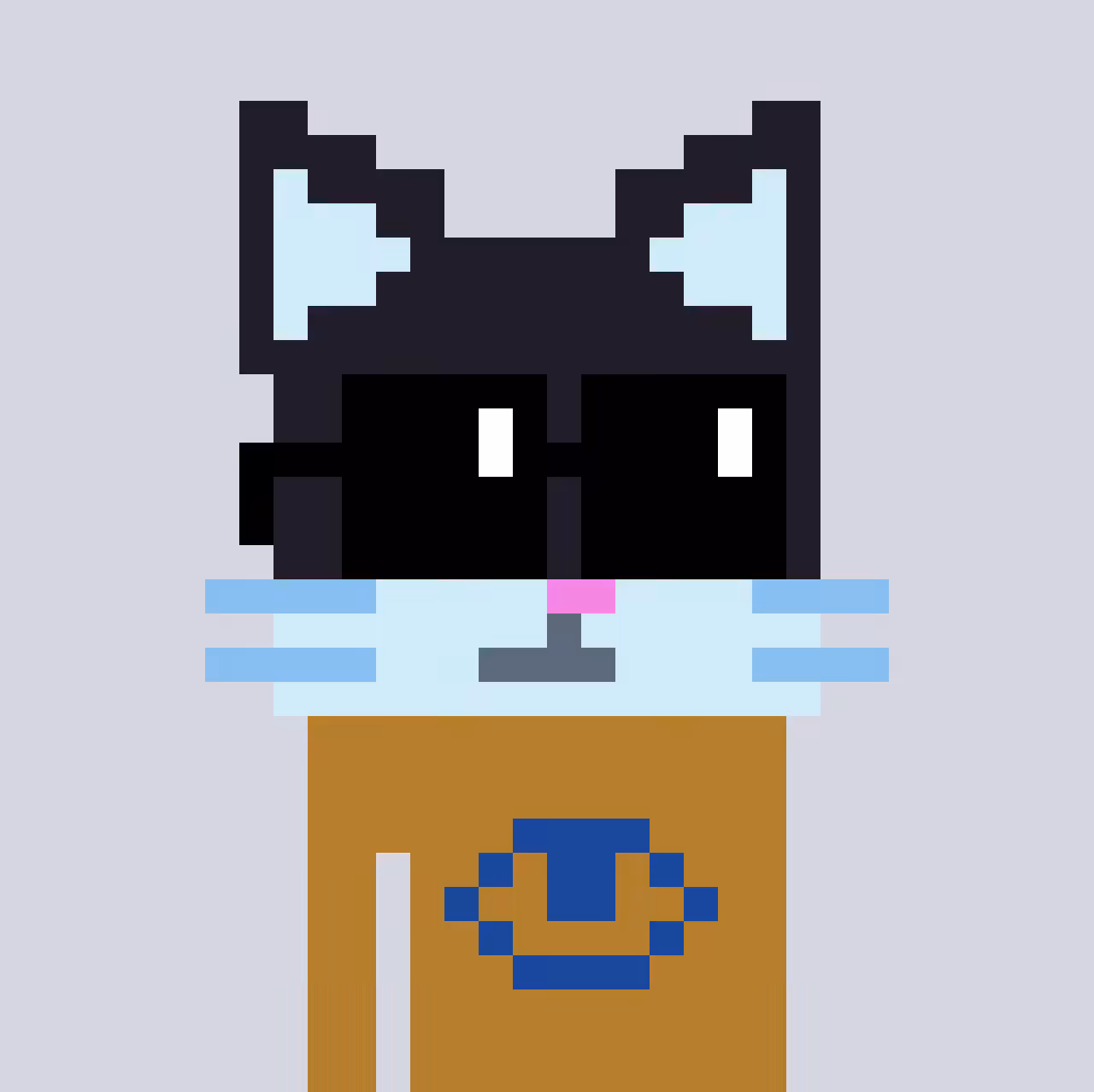 catface17