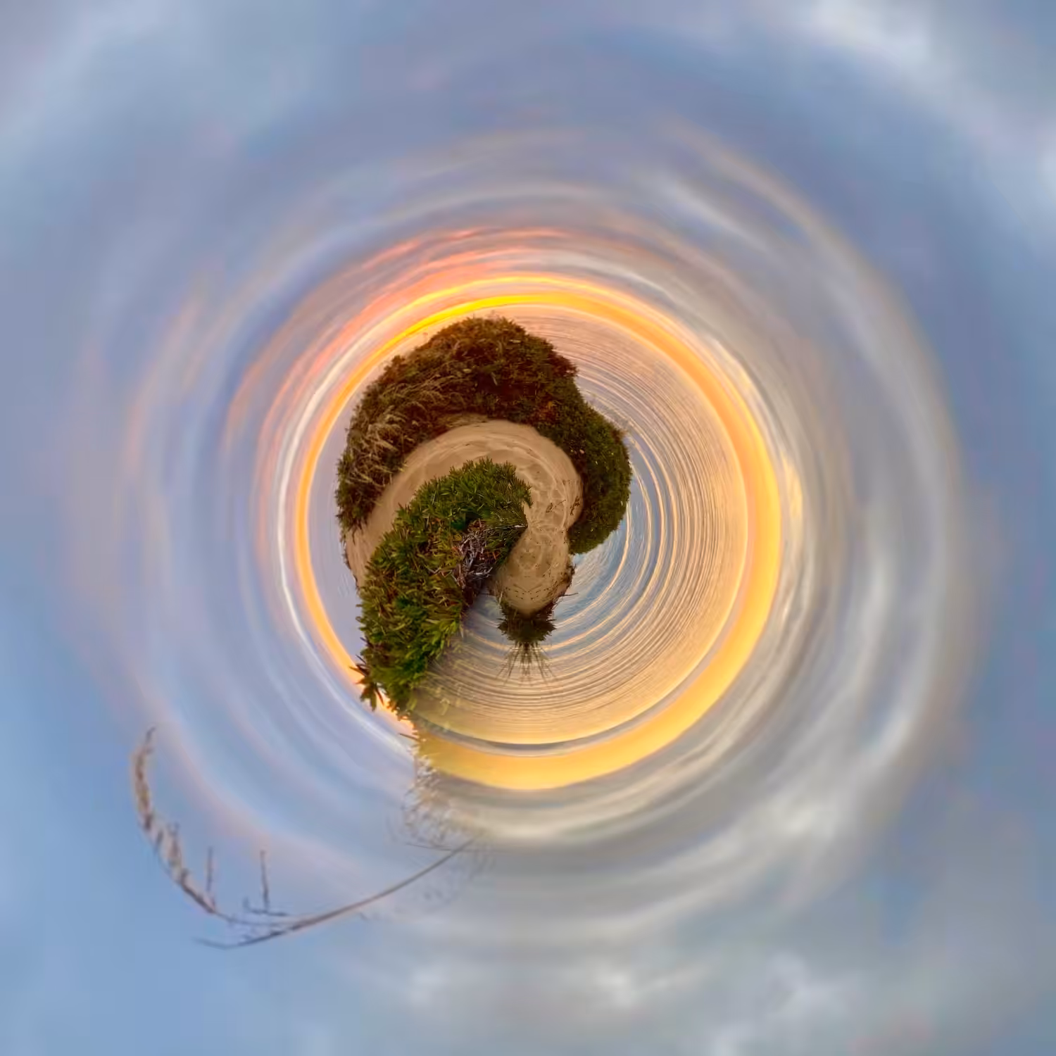 tiny world: montana de oro