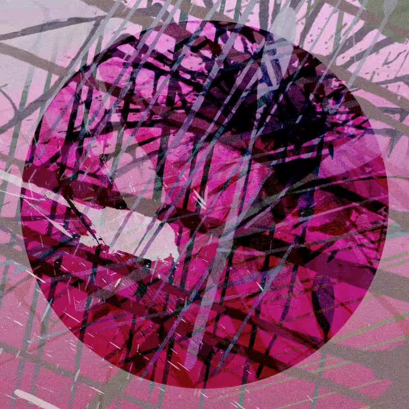 KUPKA #5