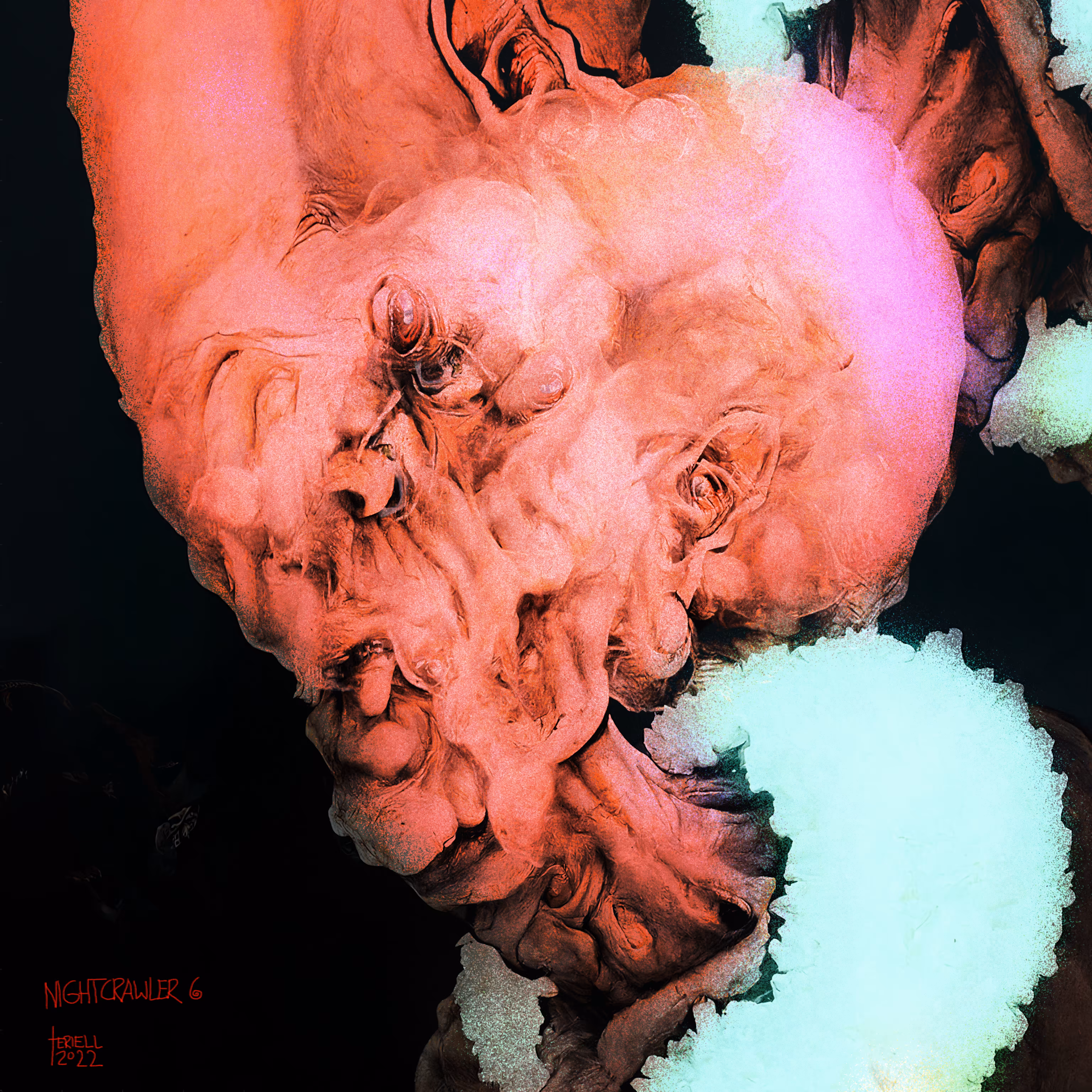 Nightcrawler Morphology #6