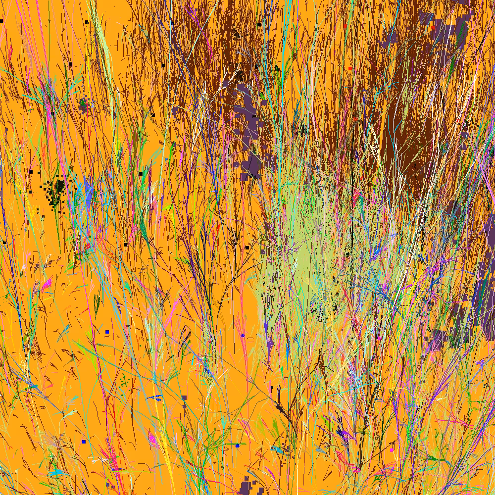 Infinite Garden: 36881 Flowers