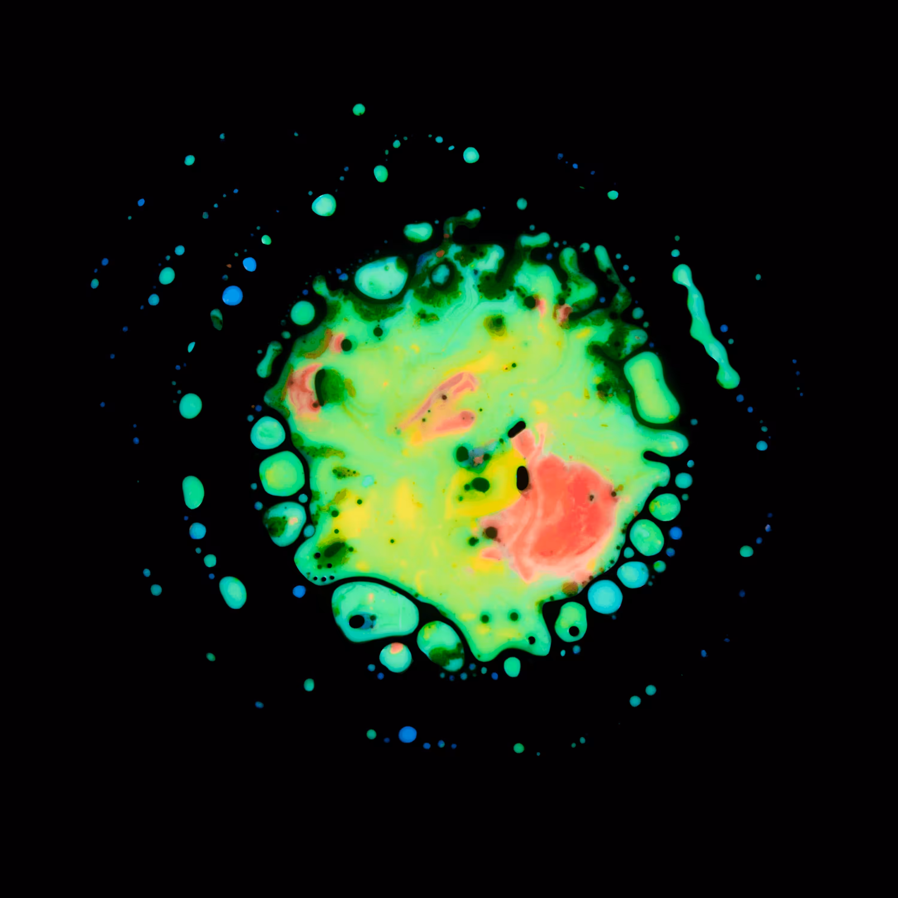 Haematopoiesis #94