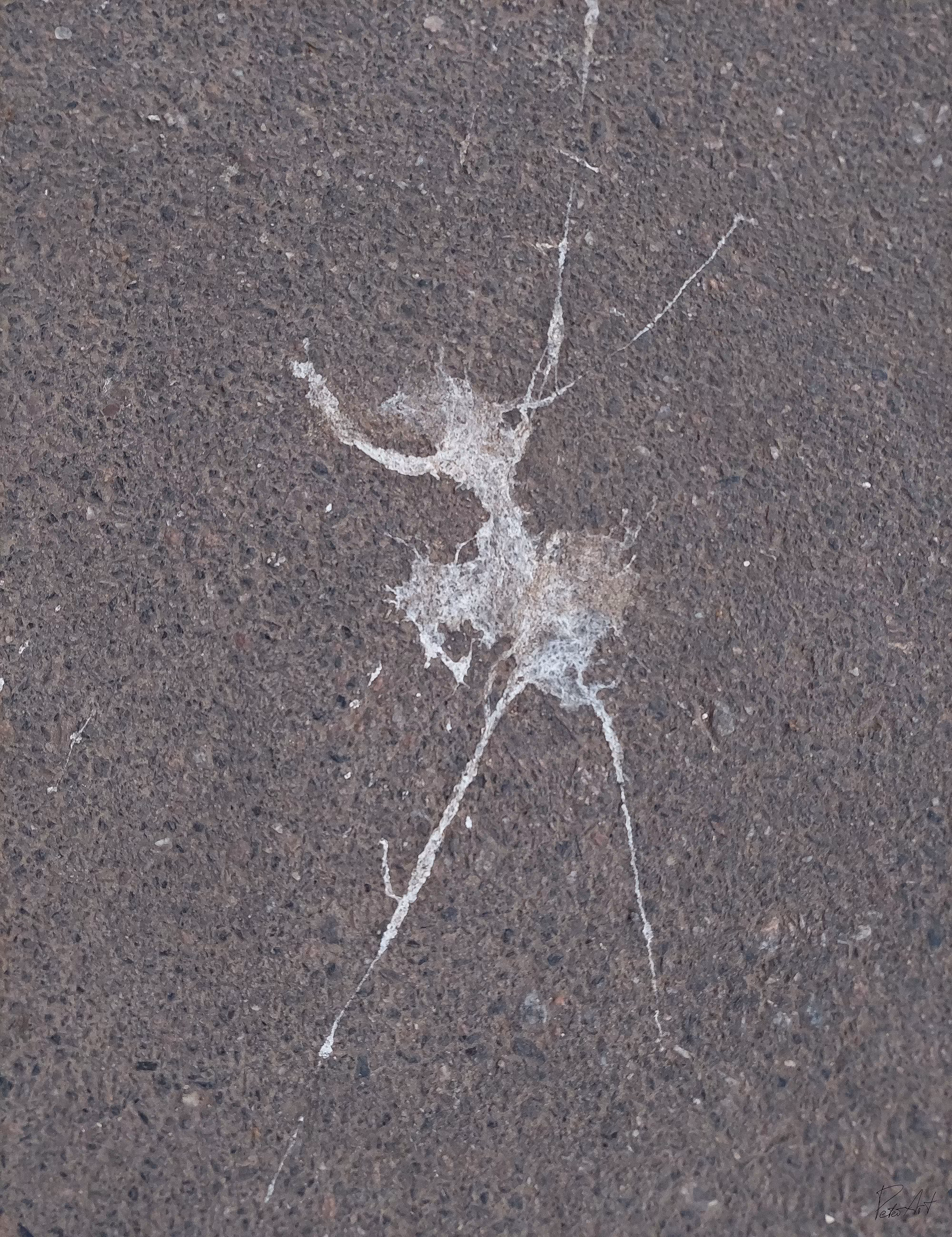 Ballerina