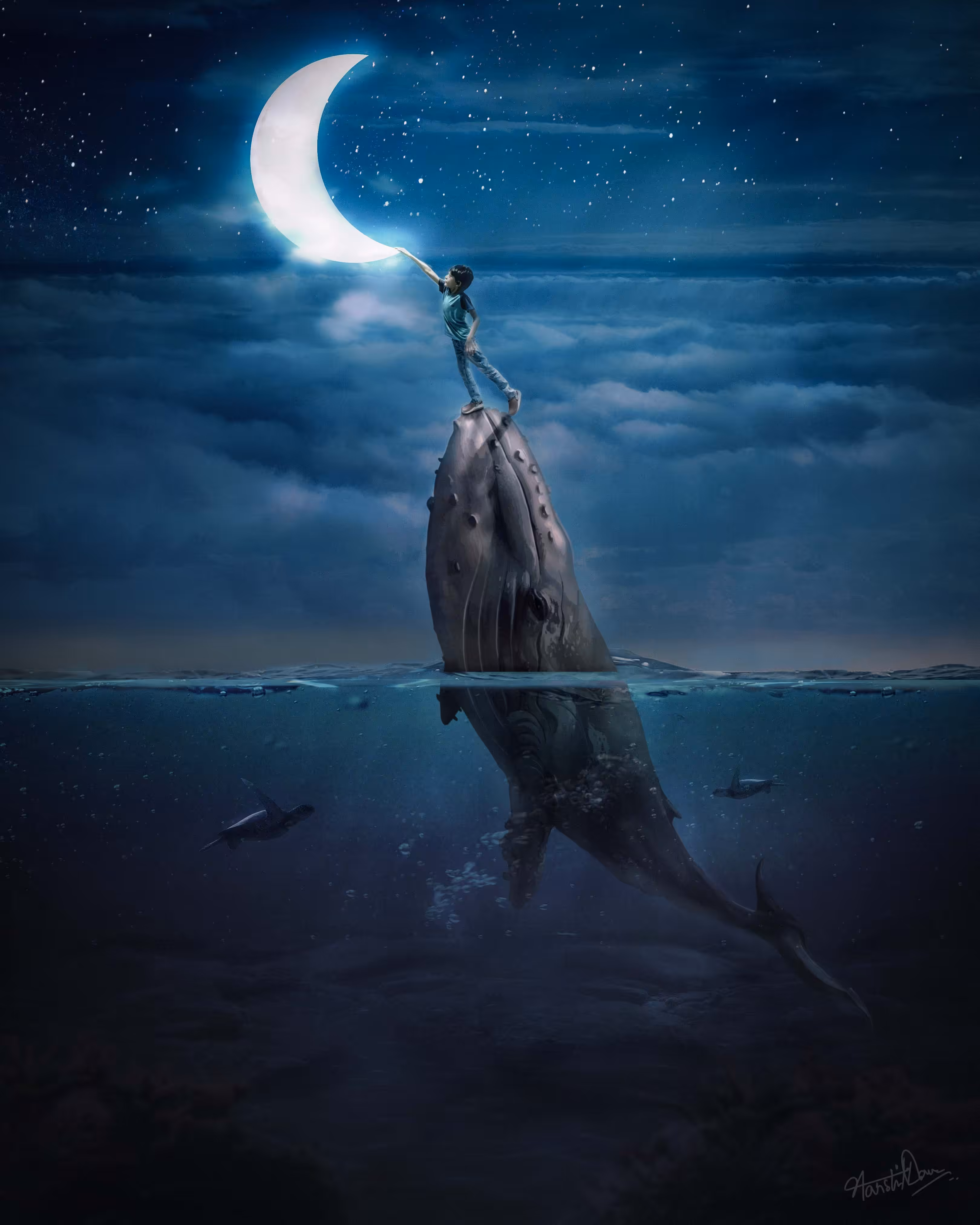 Reach the Moon