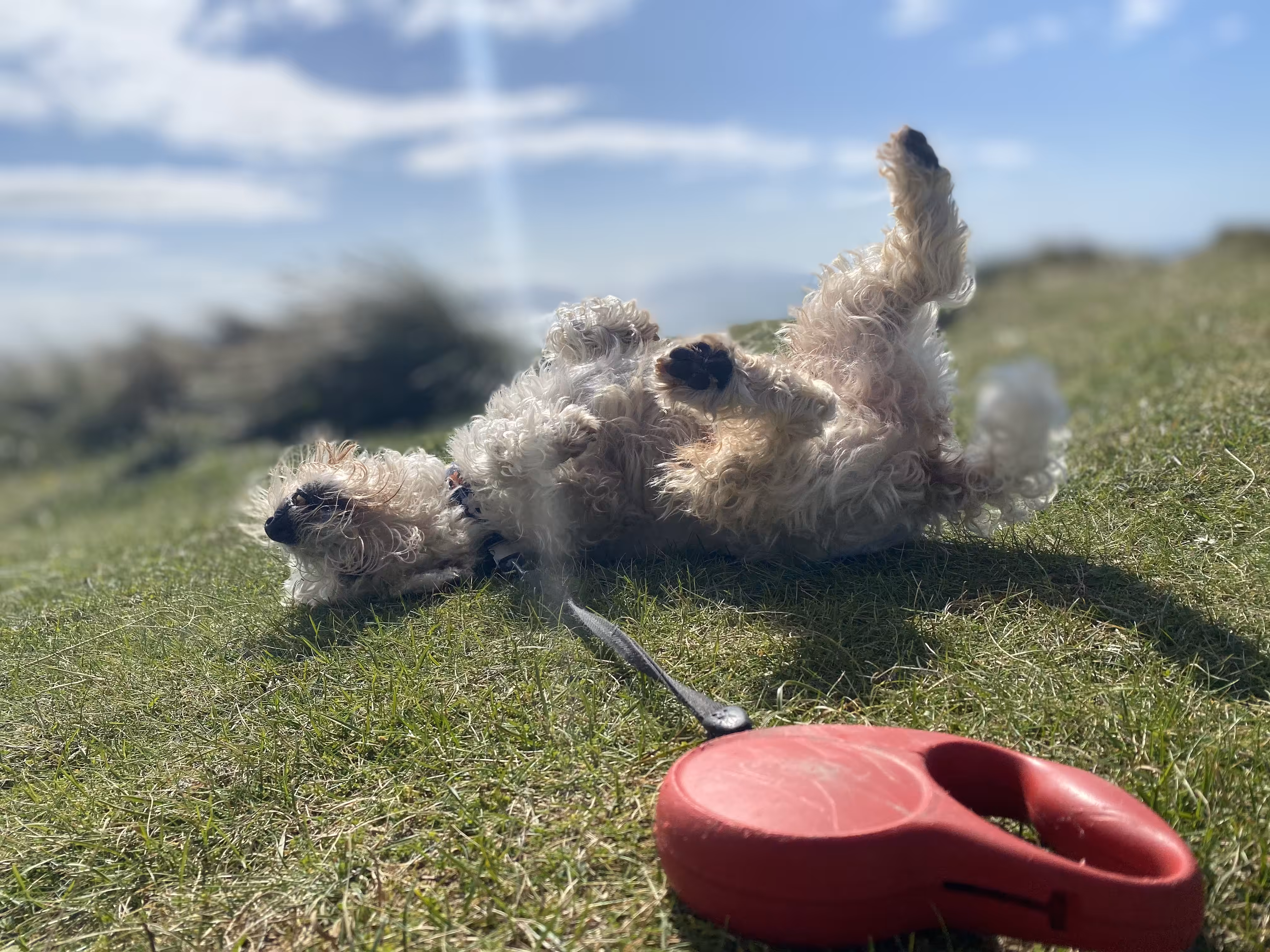 Fun in the sun with Moon
