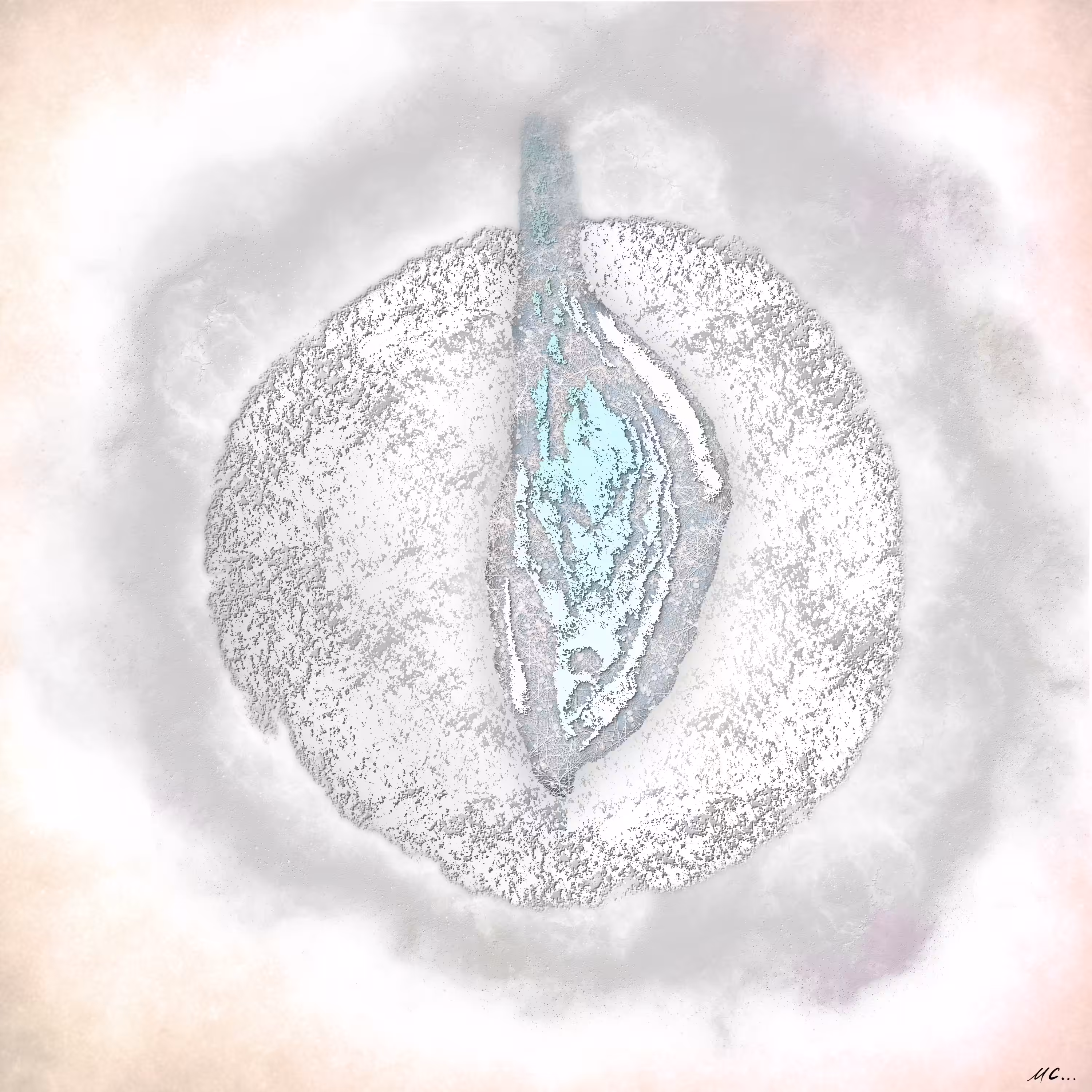 Seed of Life