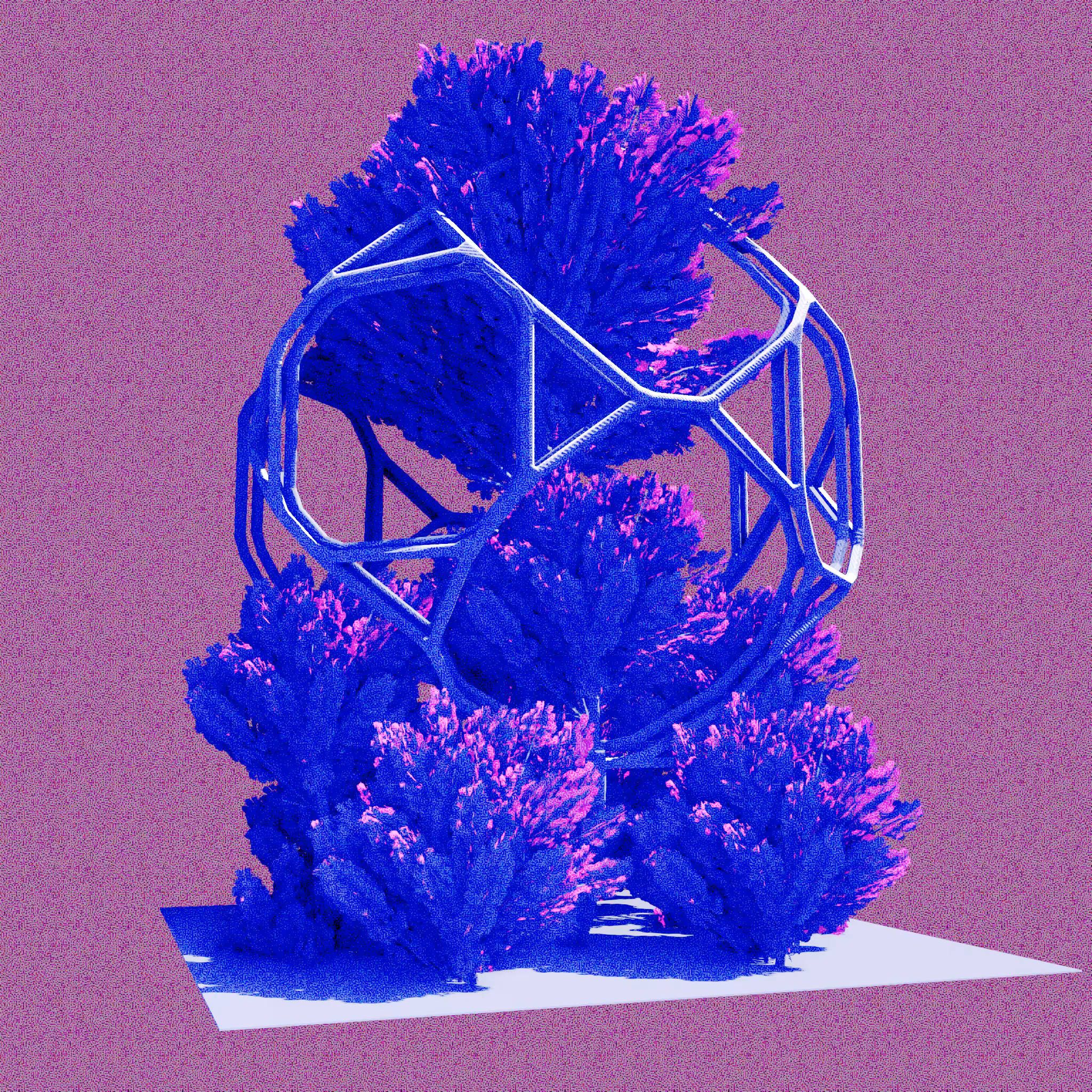 Urban Flora #403