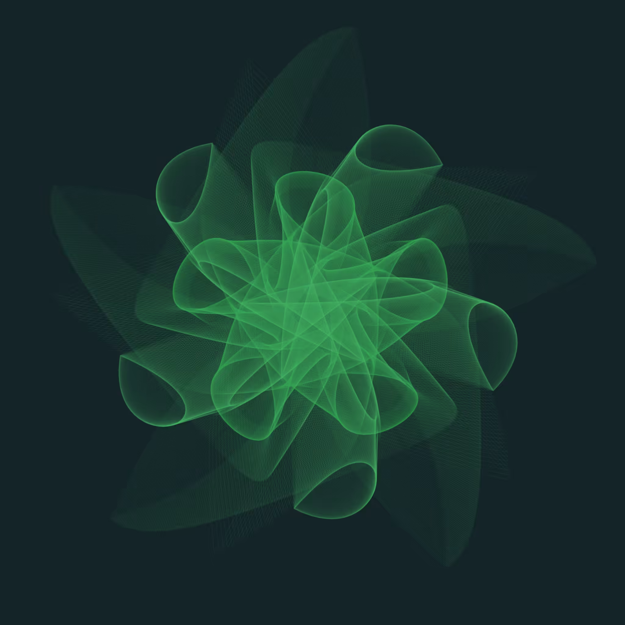 Sea Anemone