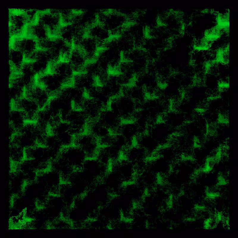 Photosynthesis #7