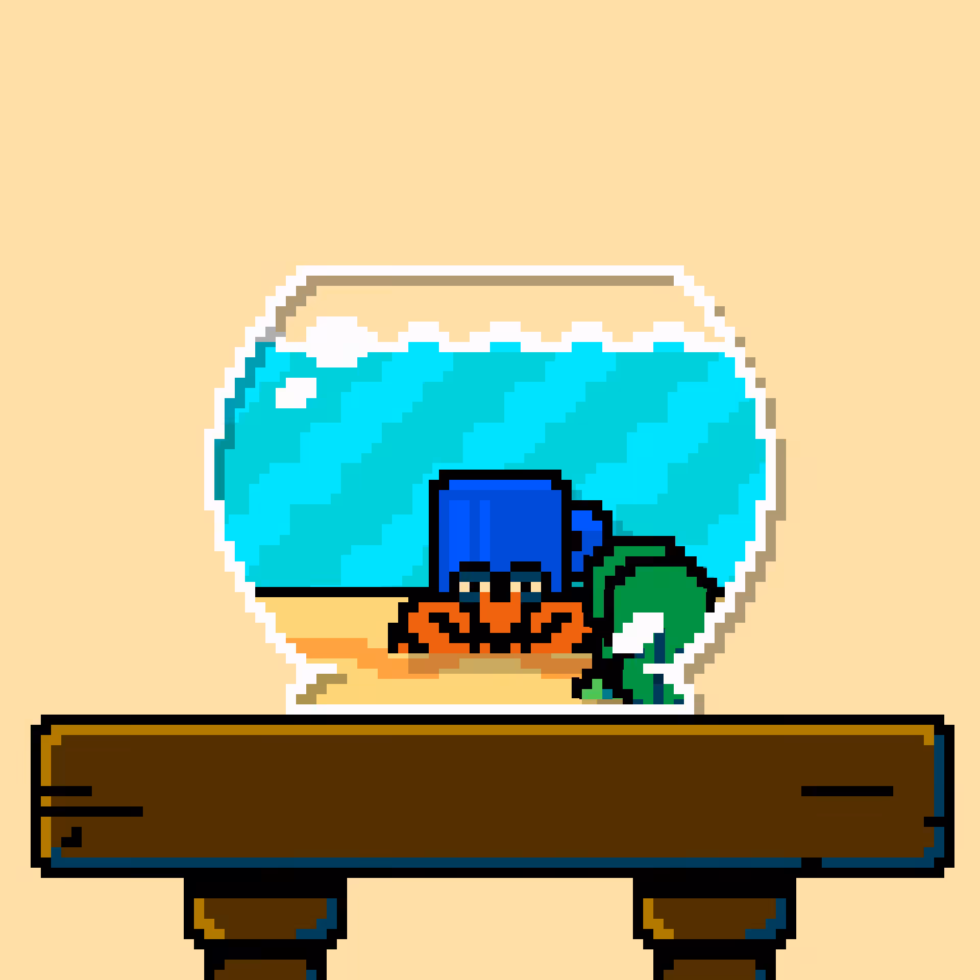 hermit crab #37