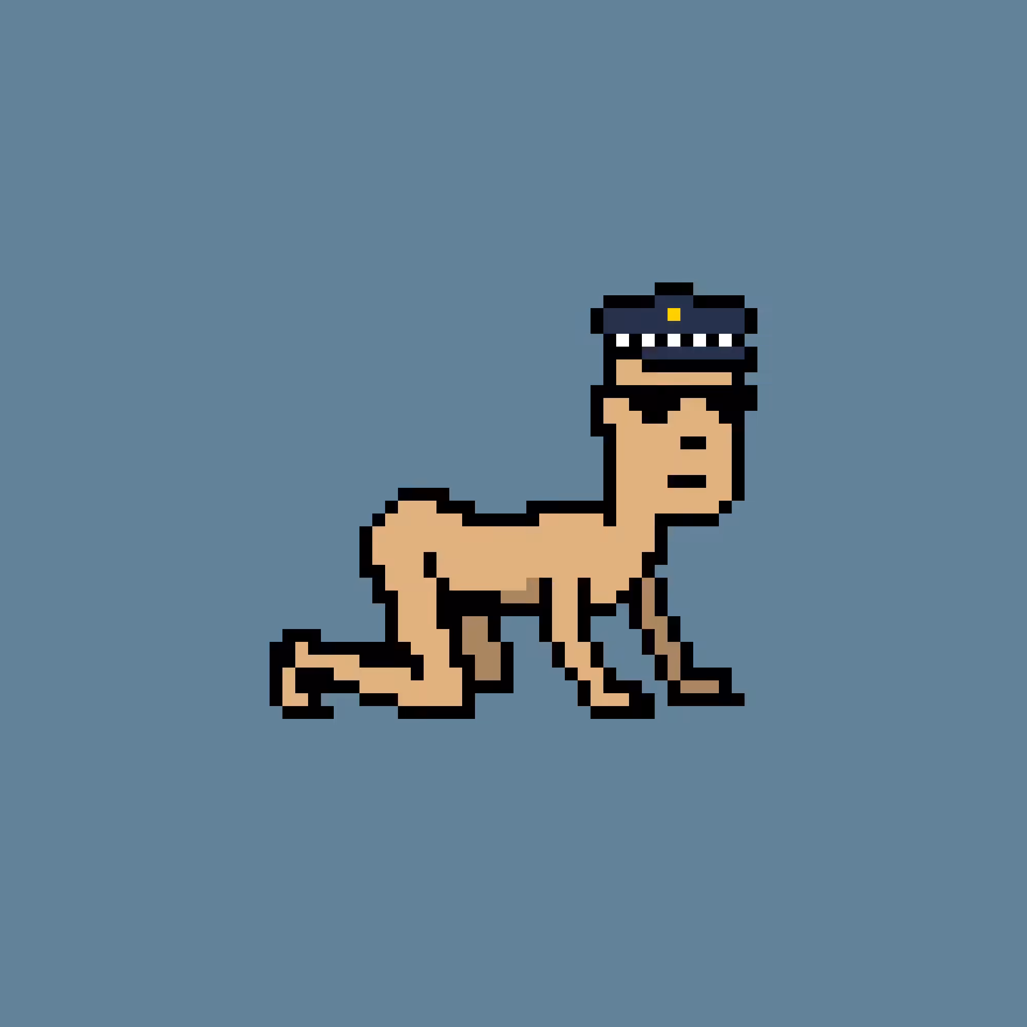 CrawlingPunks: CrawlingPunk #8691